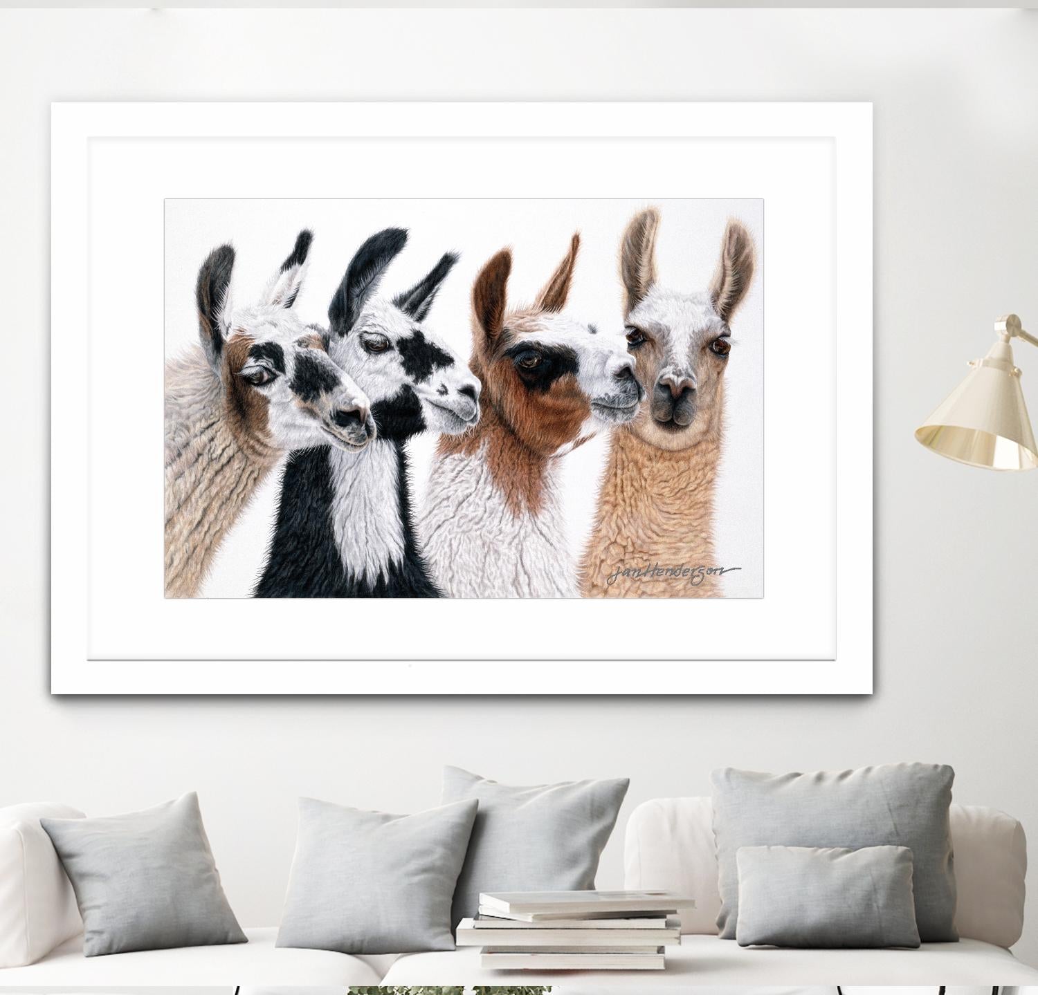 Peruvian Visitors by Jan Henderson on GIANT ART - multicolor animals; photography