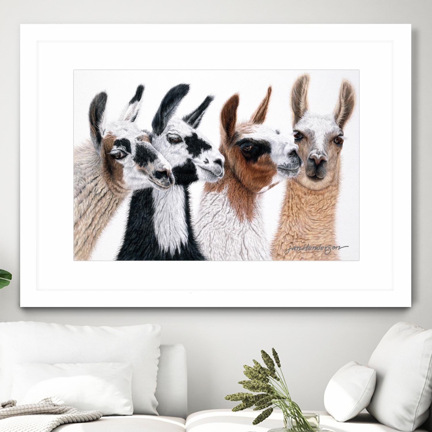 Peruvian Visitors by Jan Henderson on GIANT ART - multicolor animals; photography