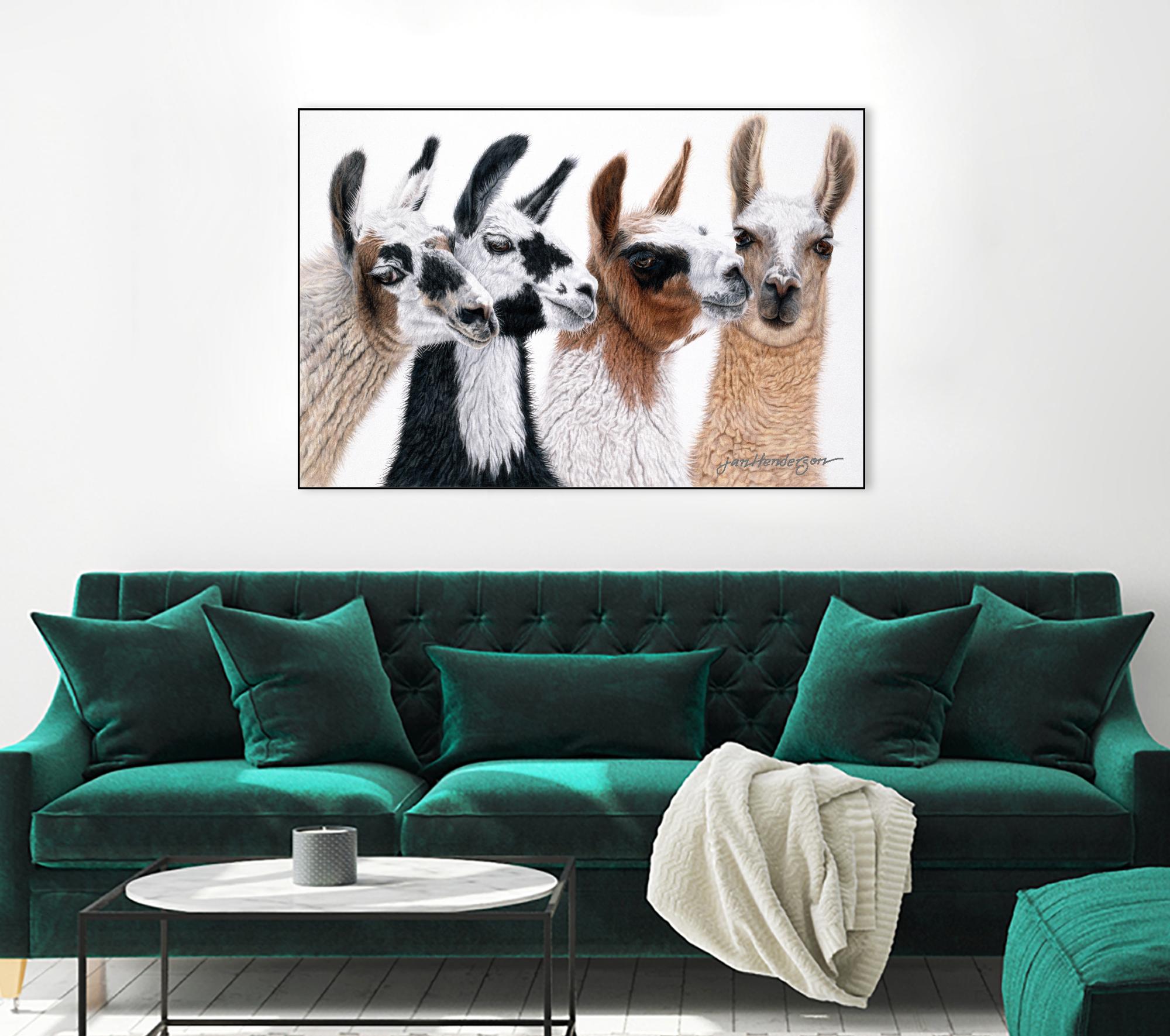 Peruvian Visitors by Jan Henderson on GIANT ART - multicolor animals; photography