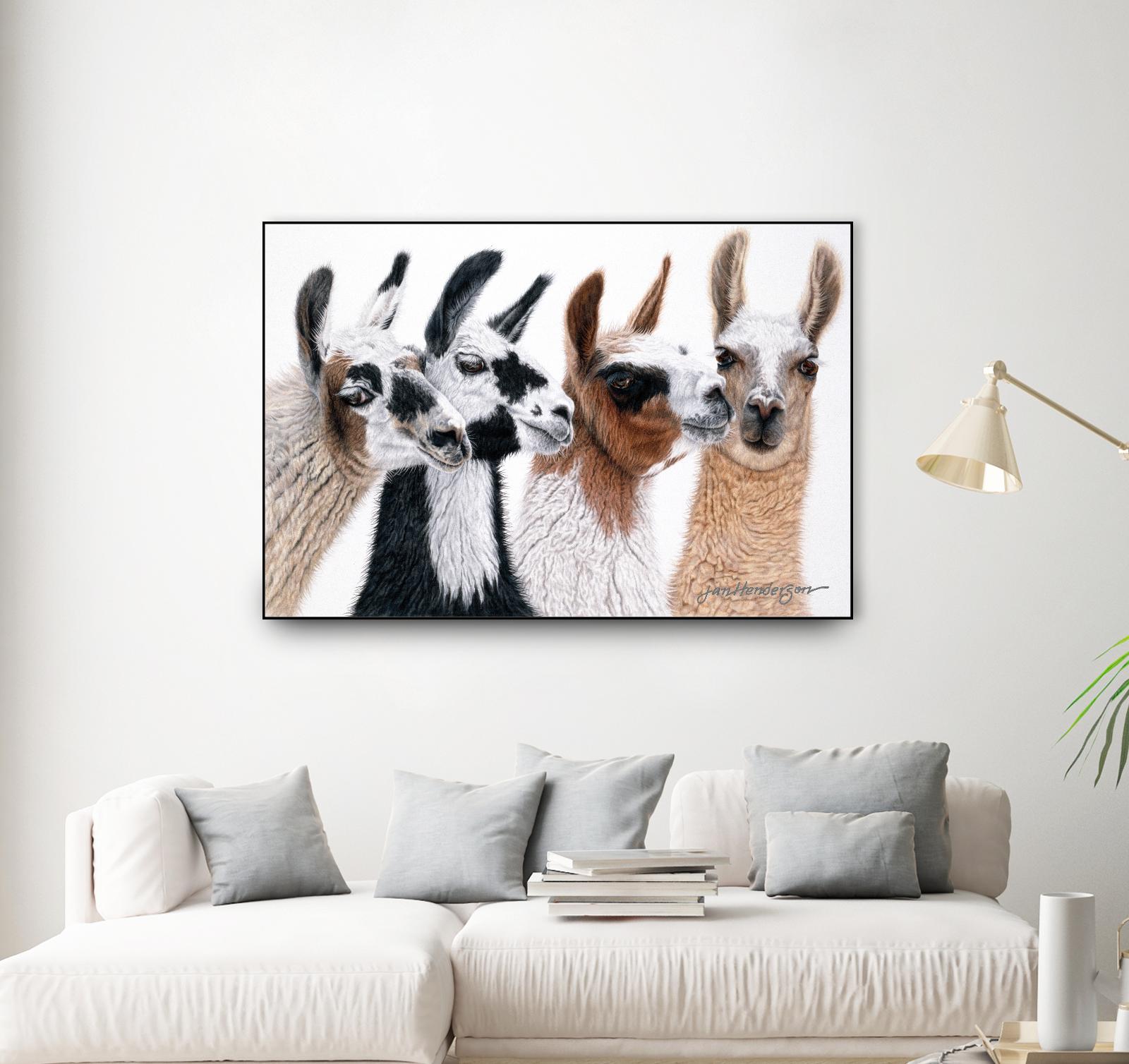 Peruvian Visitors by Jan Henderson on GIANT ART - multicolor animals; photography