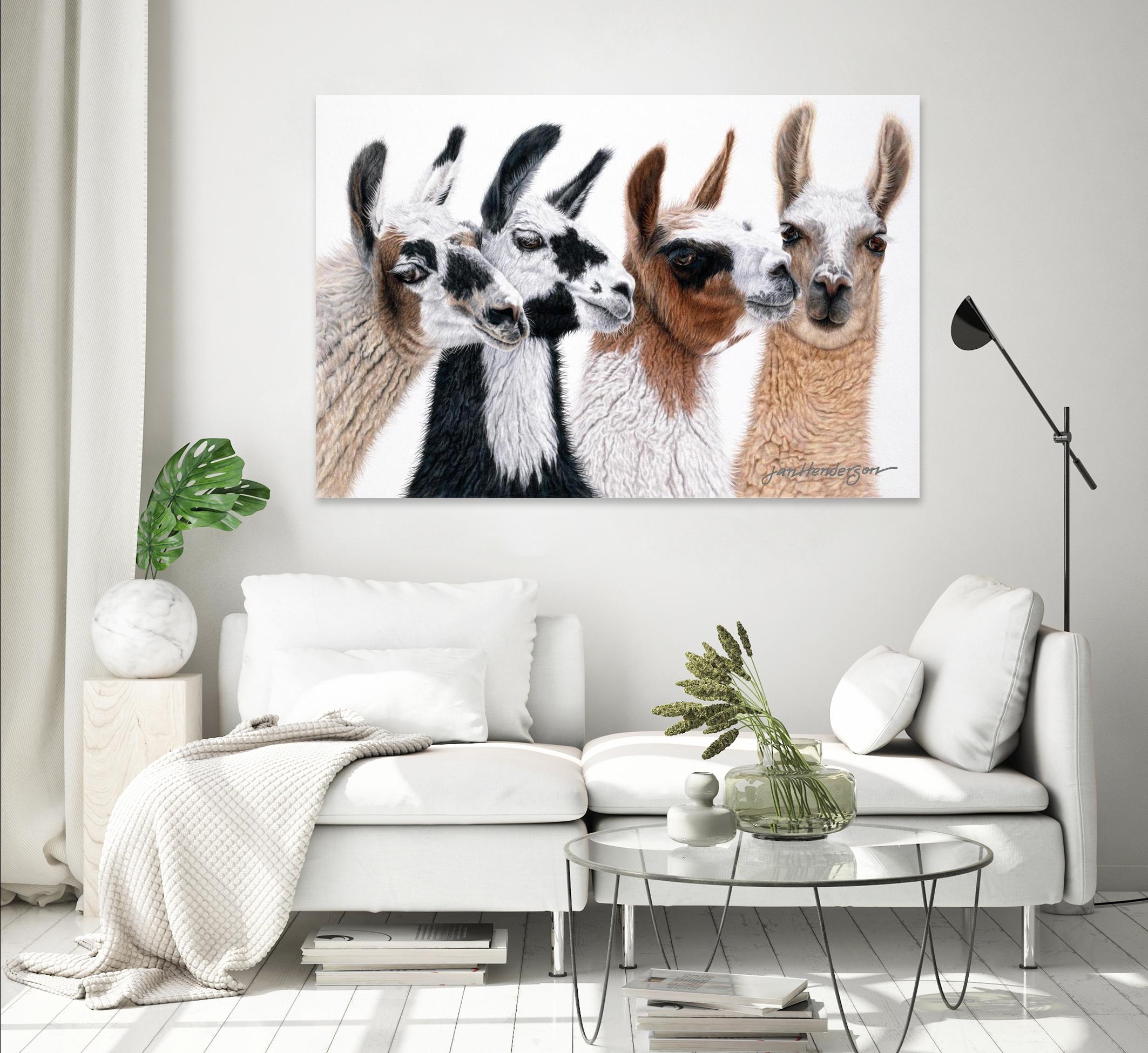 Peruvian Visitors by Jan Henderson on GIANT ART - multicolor animals; photography