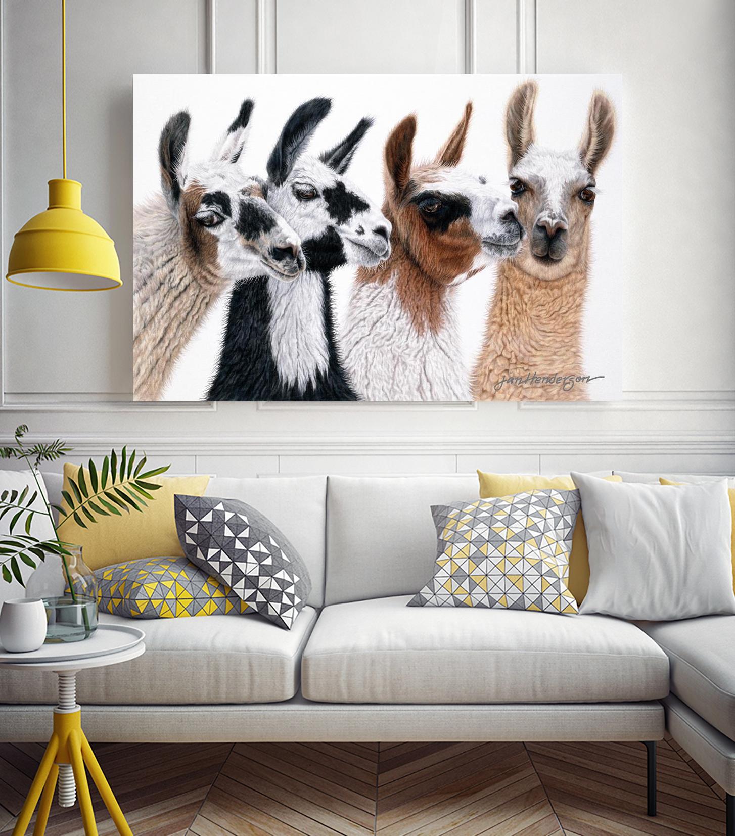 Peruvian Visitors by Jan Henderson on GIANT ART - multicolor animals; photography