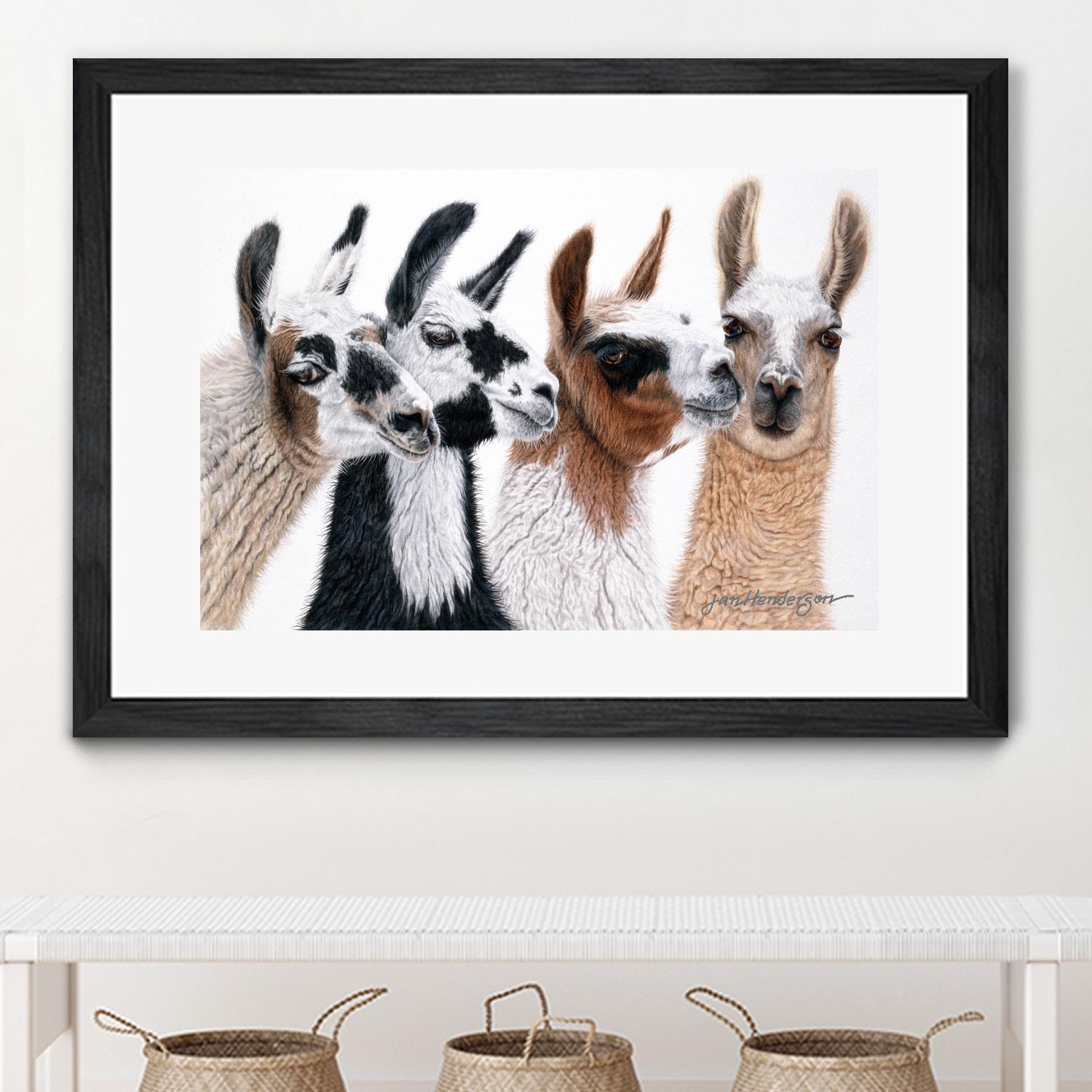 Peruvian Visitors by Jan Henderson on GIANT ART - multicolor animals; photography