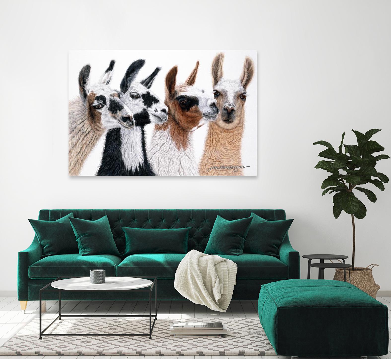 Peruvian Visitors by Jan Henderson on GIANT ART - multicolor animals; photography