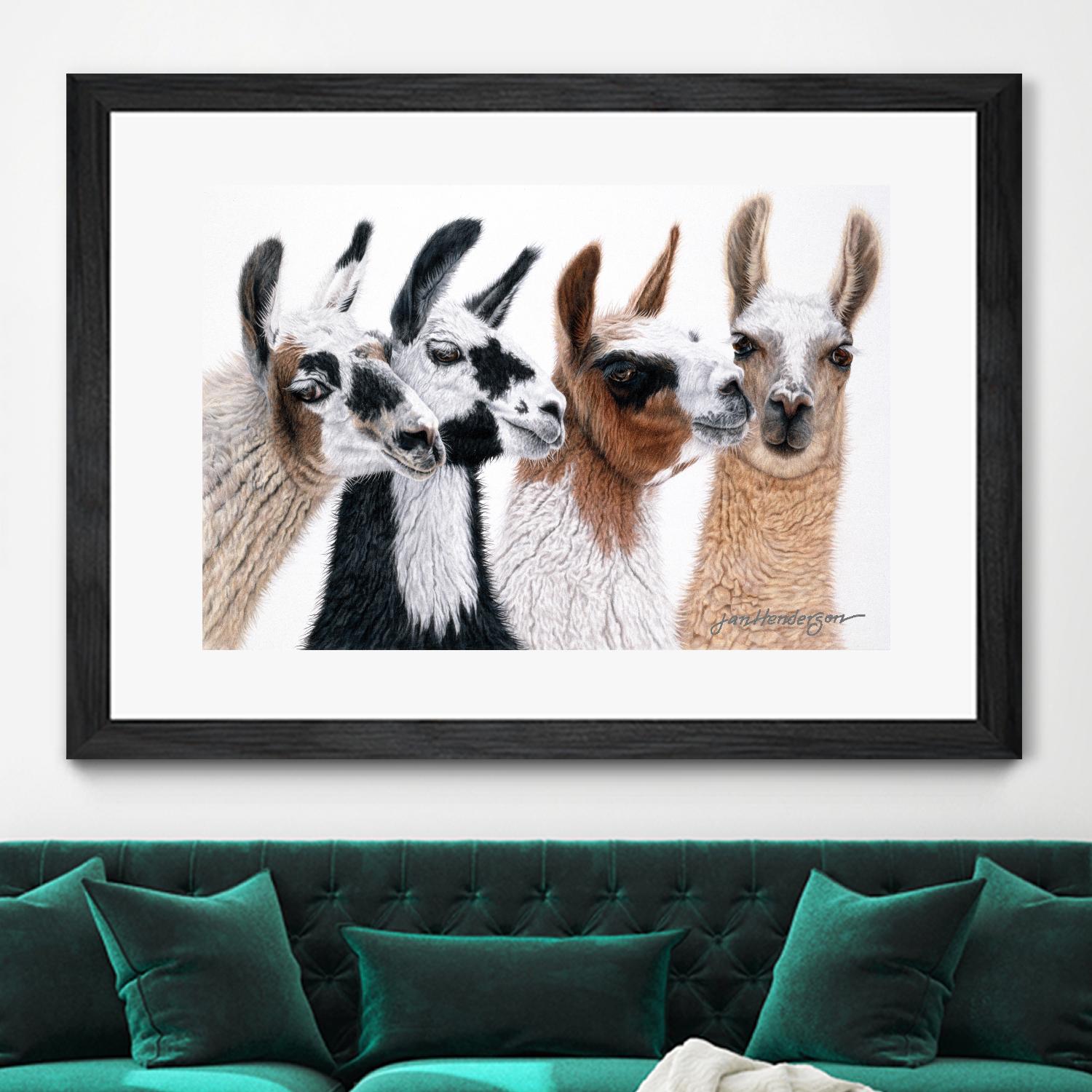 Peruvian Visitors by Jan Henderson on GIANT ART - multicolor animals; photography