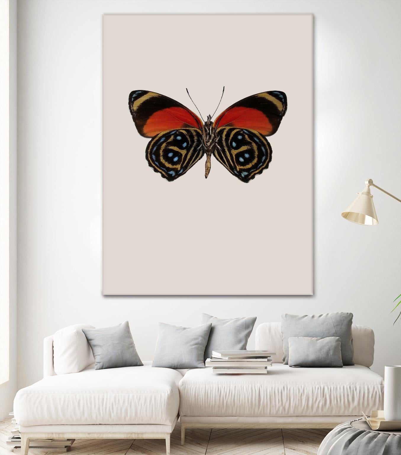 Agrias amydon by Incado on GIANT ART - multicolor animals; floral/still life