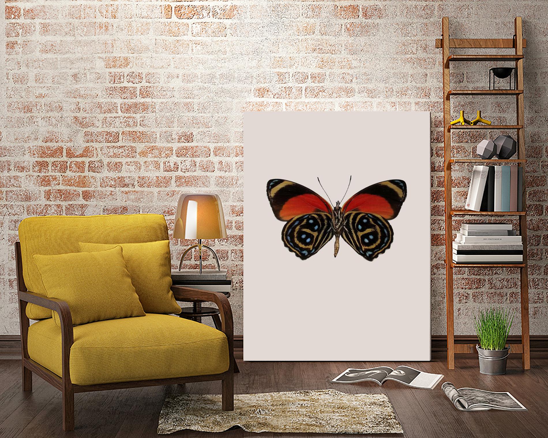 Agrias amydon by Incado on GIANT ART - multicolor animals; floral/still life