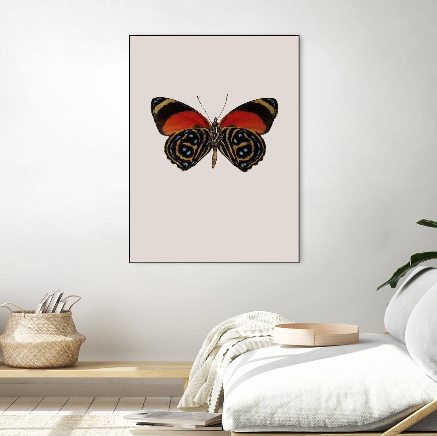 Agrias amydon by Incado on GIANT ART - multicolor animals; floral/still life