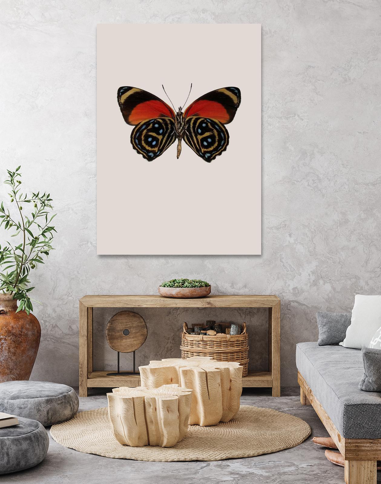 Agrias amydon by Incado on GIANT ART - multicolor animals; floral/still life