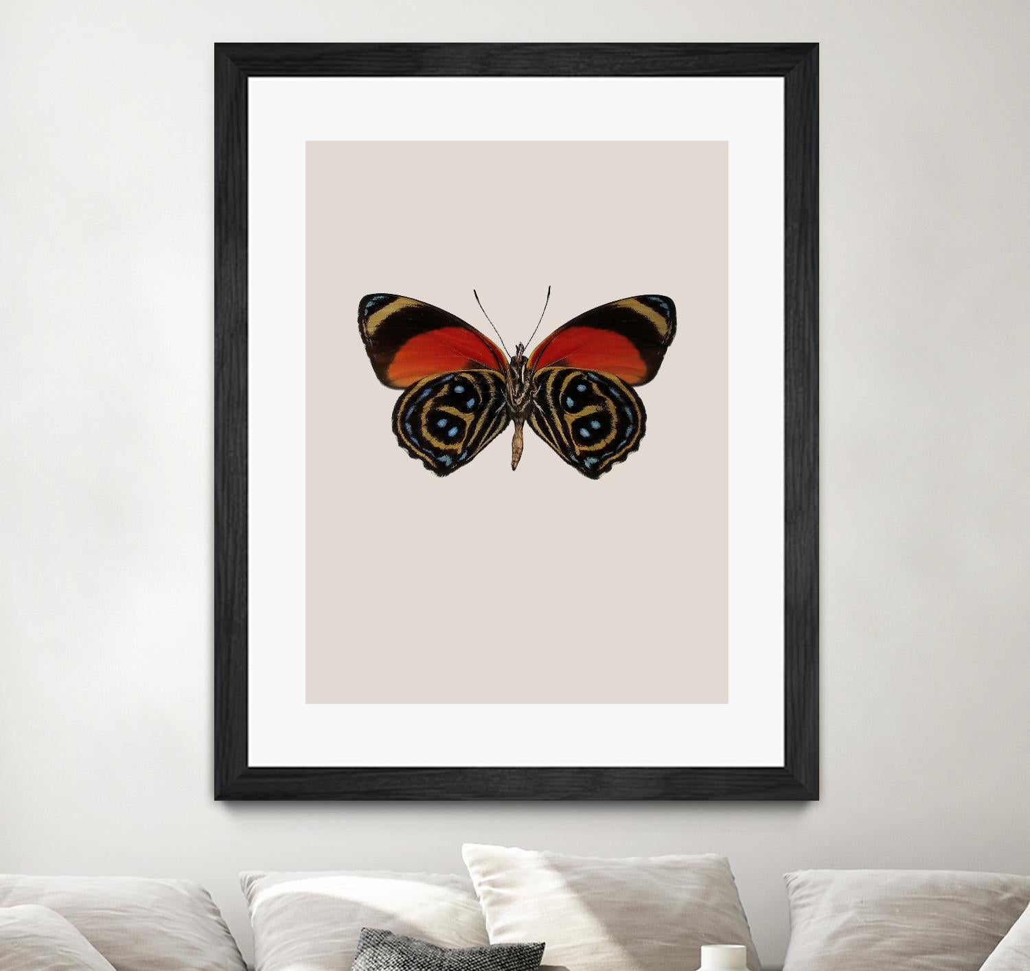 Agrias amydon by Incado on GIANT ART - multicolor animals; floral/still life