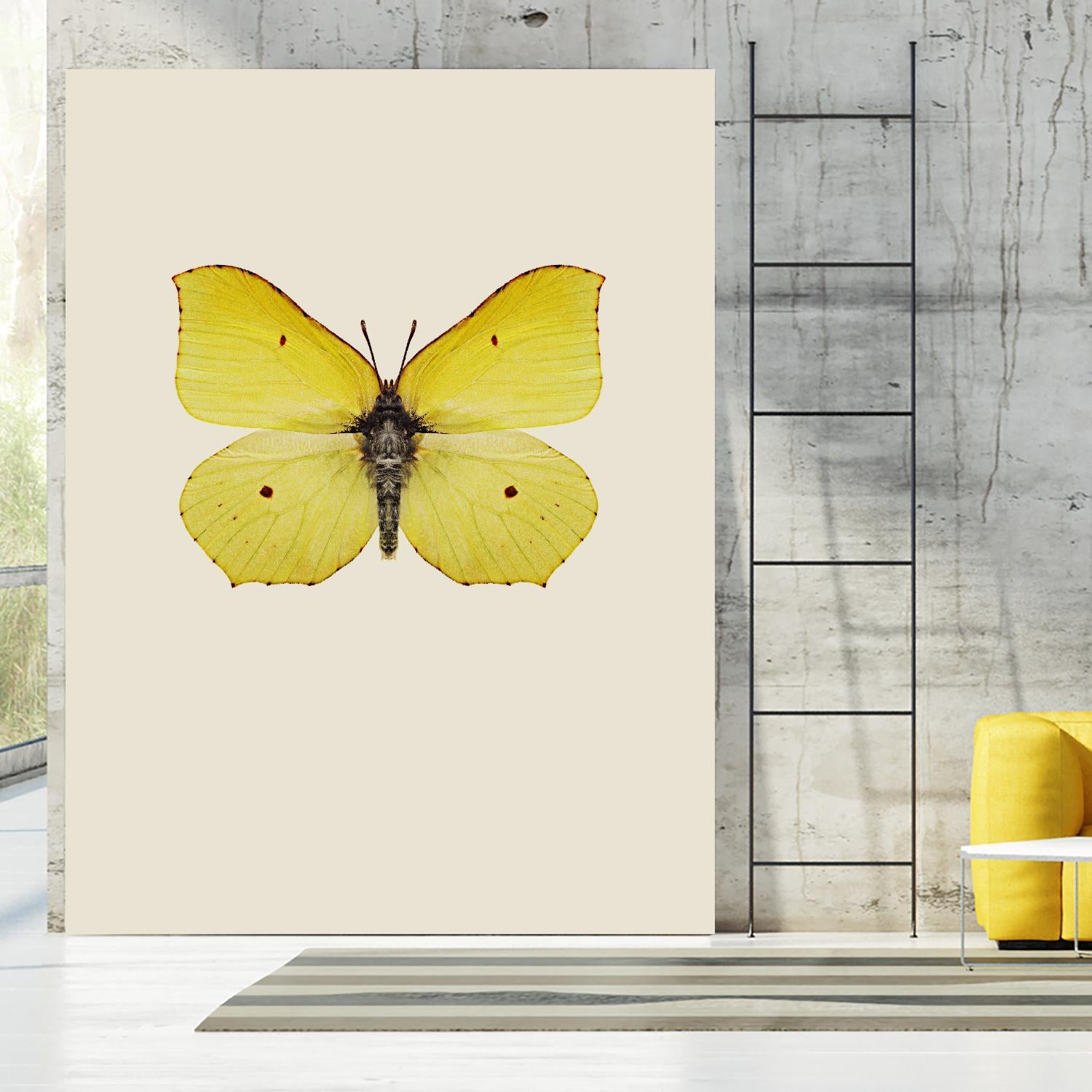 Gonepteryx rhamni by Incado on GIANT ART - multicolor animals; floral/still life