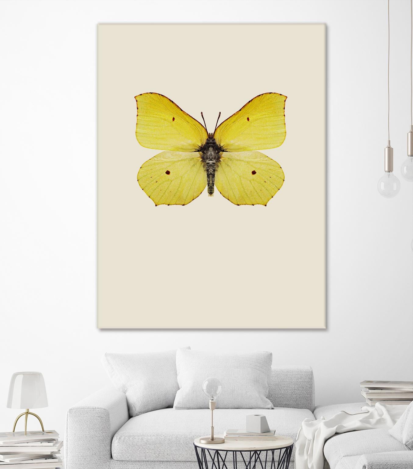 Gonepteryx rhamni by Incado on GIANT ART - multicolor animals; floral/still life