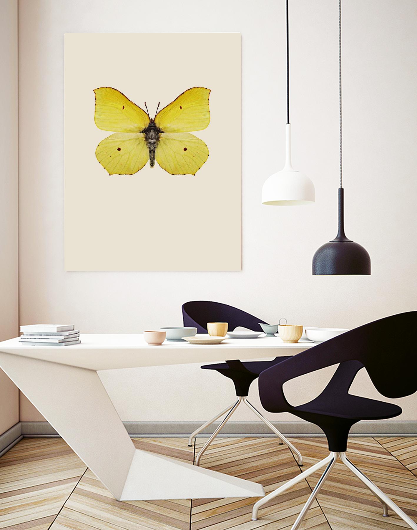 Gonepteryx rhamni by Incado on GIANT ART - multicolor animals; floral/still life