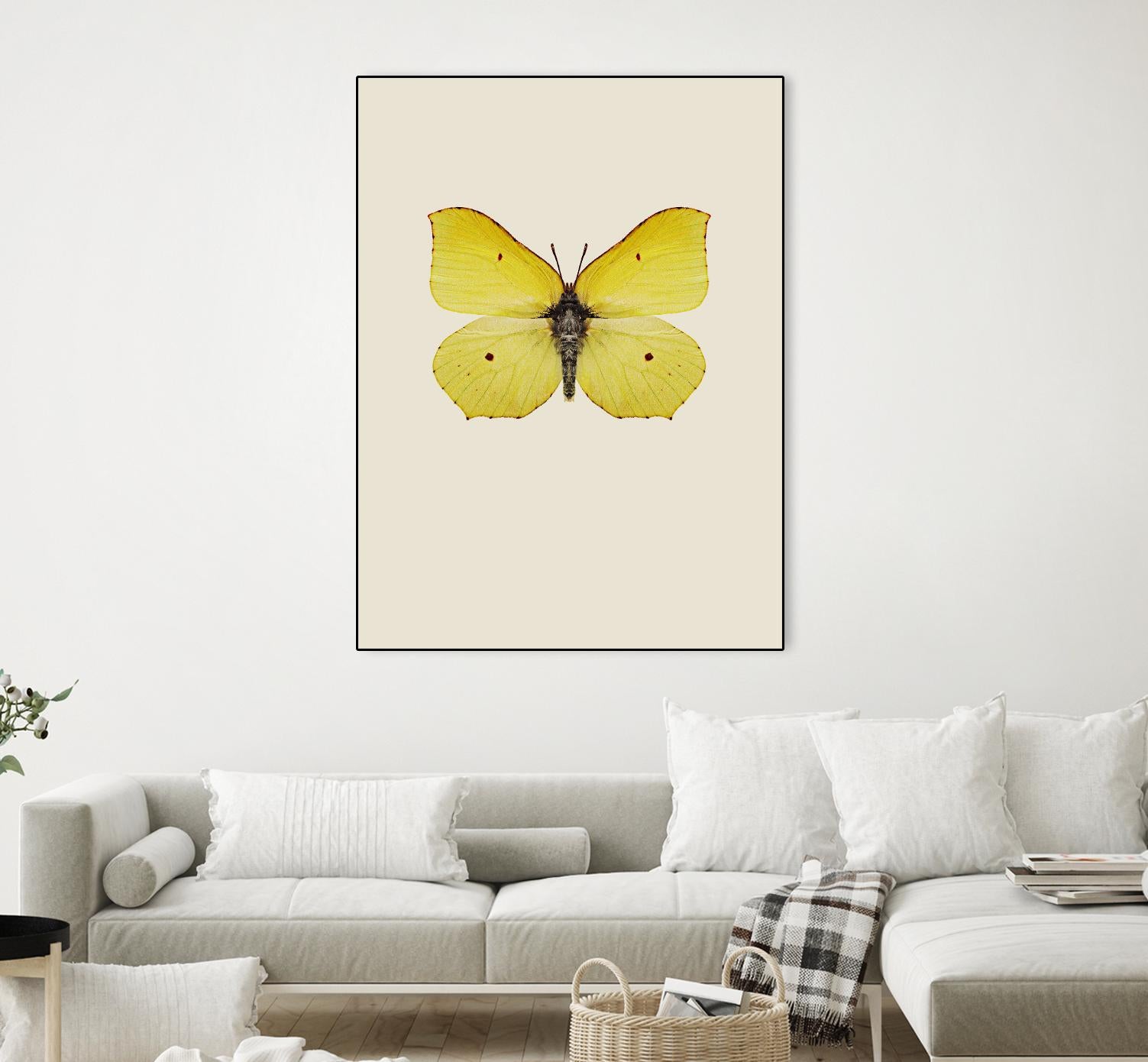 Gonepteryx rhamni by Incado on GIANT ART - multicolor animals; floral/still life