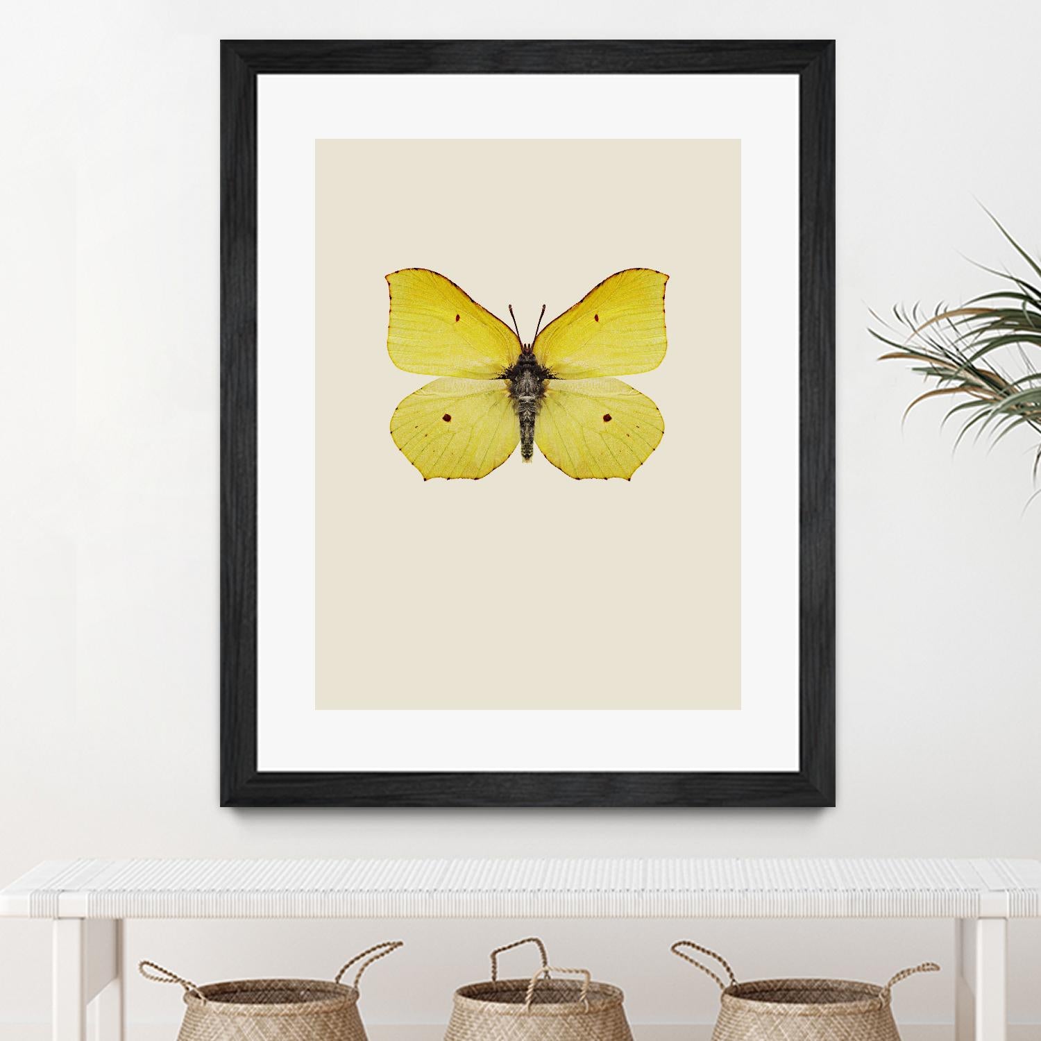 Gonepteryx rhamni by Incado on GIANT ART - multicolor animals; floral/still life