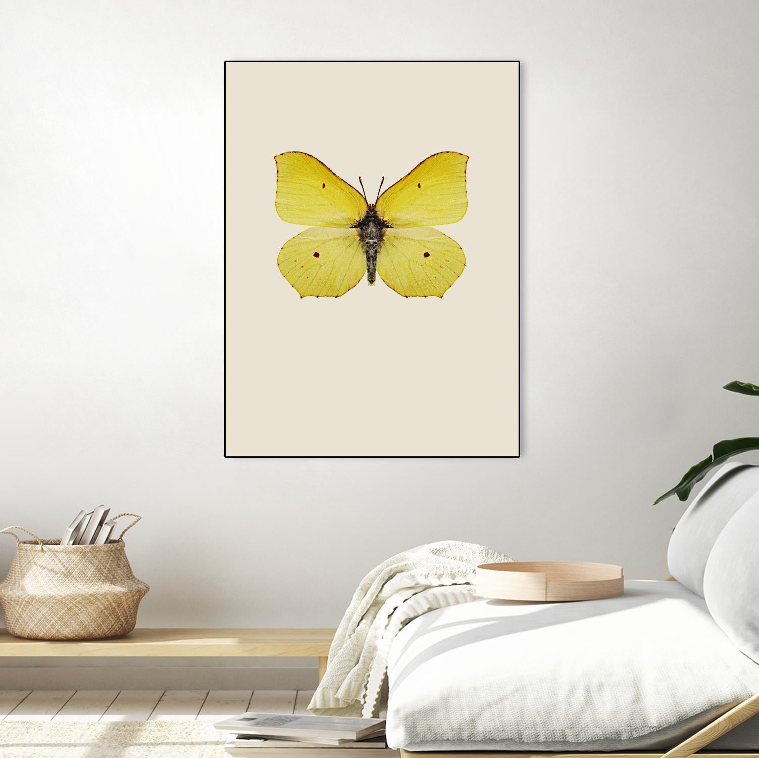 Gonepteryx rhamni by Incado on GIANT ART - multicolor animals; floral/still life