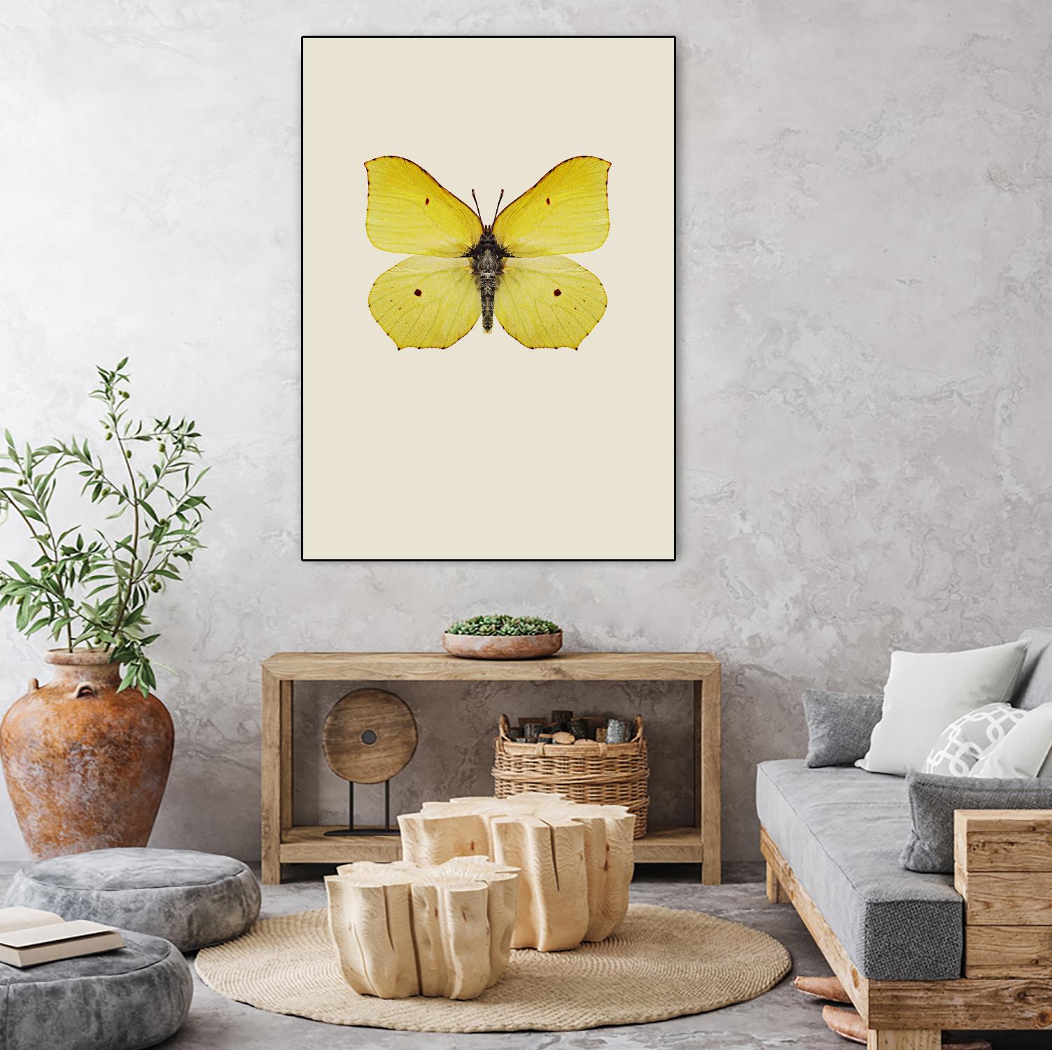 Gonepteryx rhamni by Incado on GIANT ART - multicolor animals; floral/still life