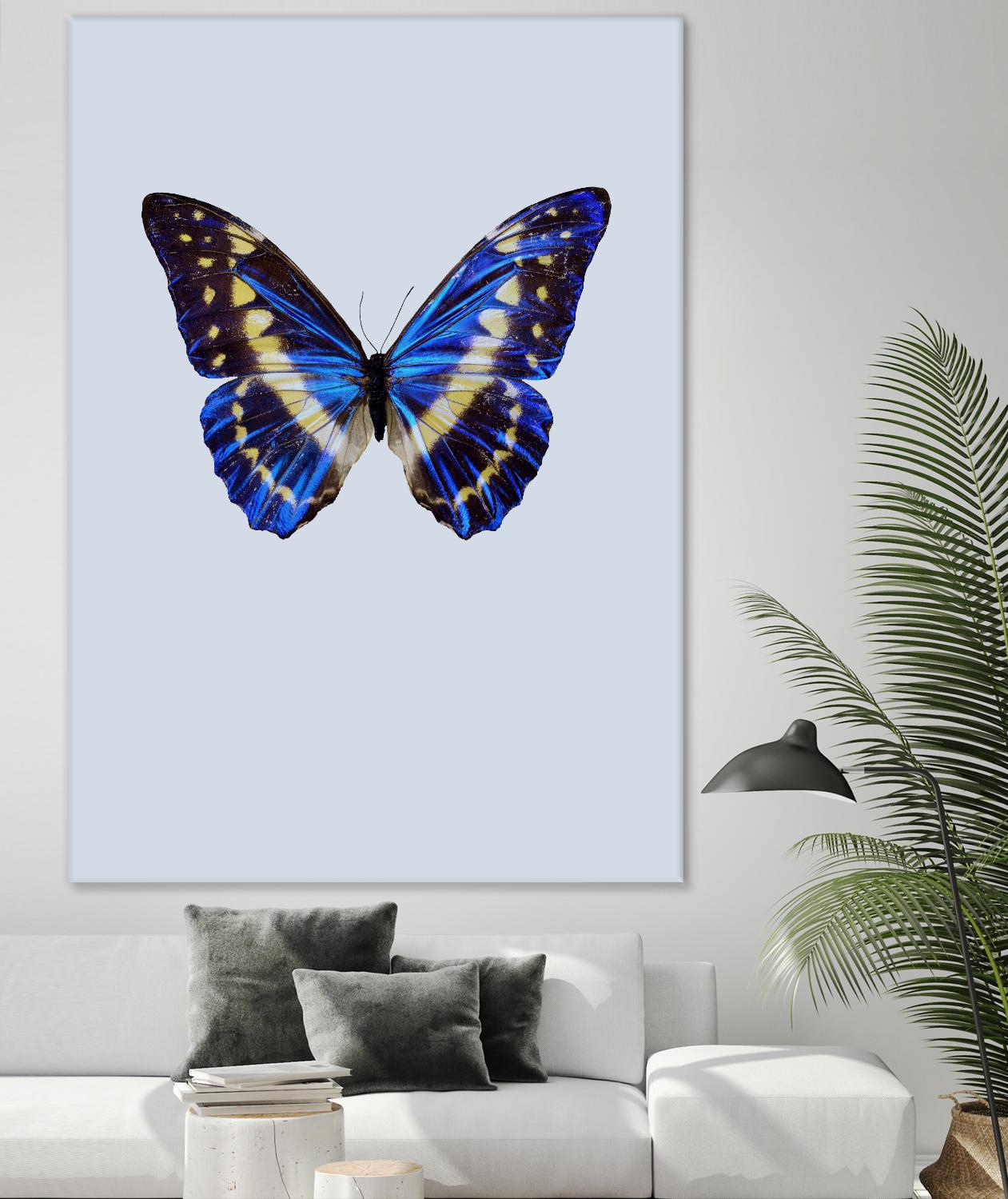 Blue Butterfly by Incado on GIANT ART - multicolor animals; floral/still life