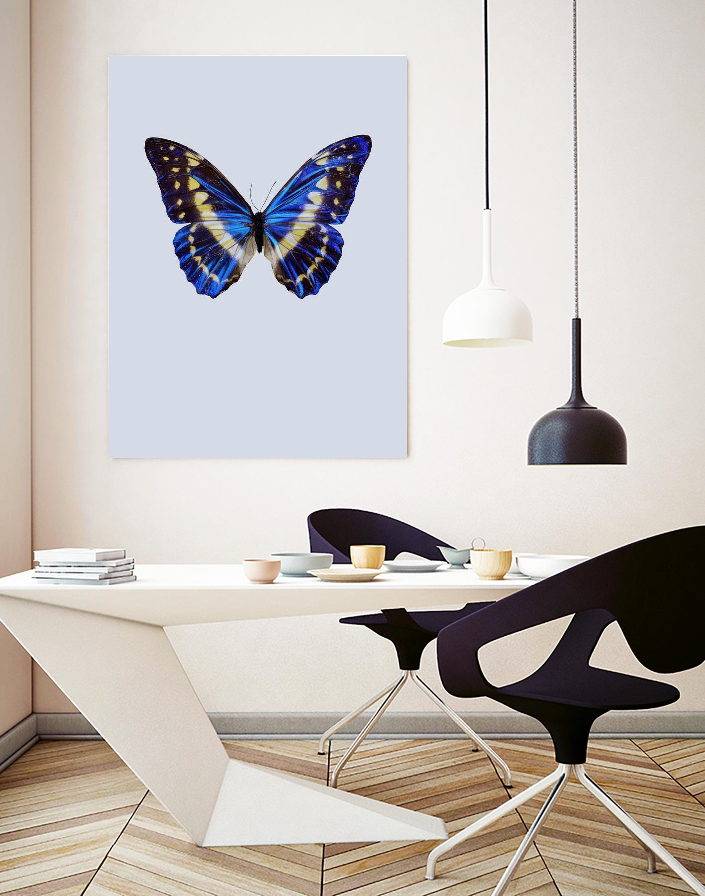 Blue Butterfly by Incado on GIANT ART - multicolor animals; floral/still life