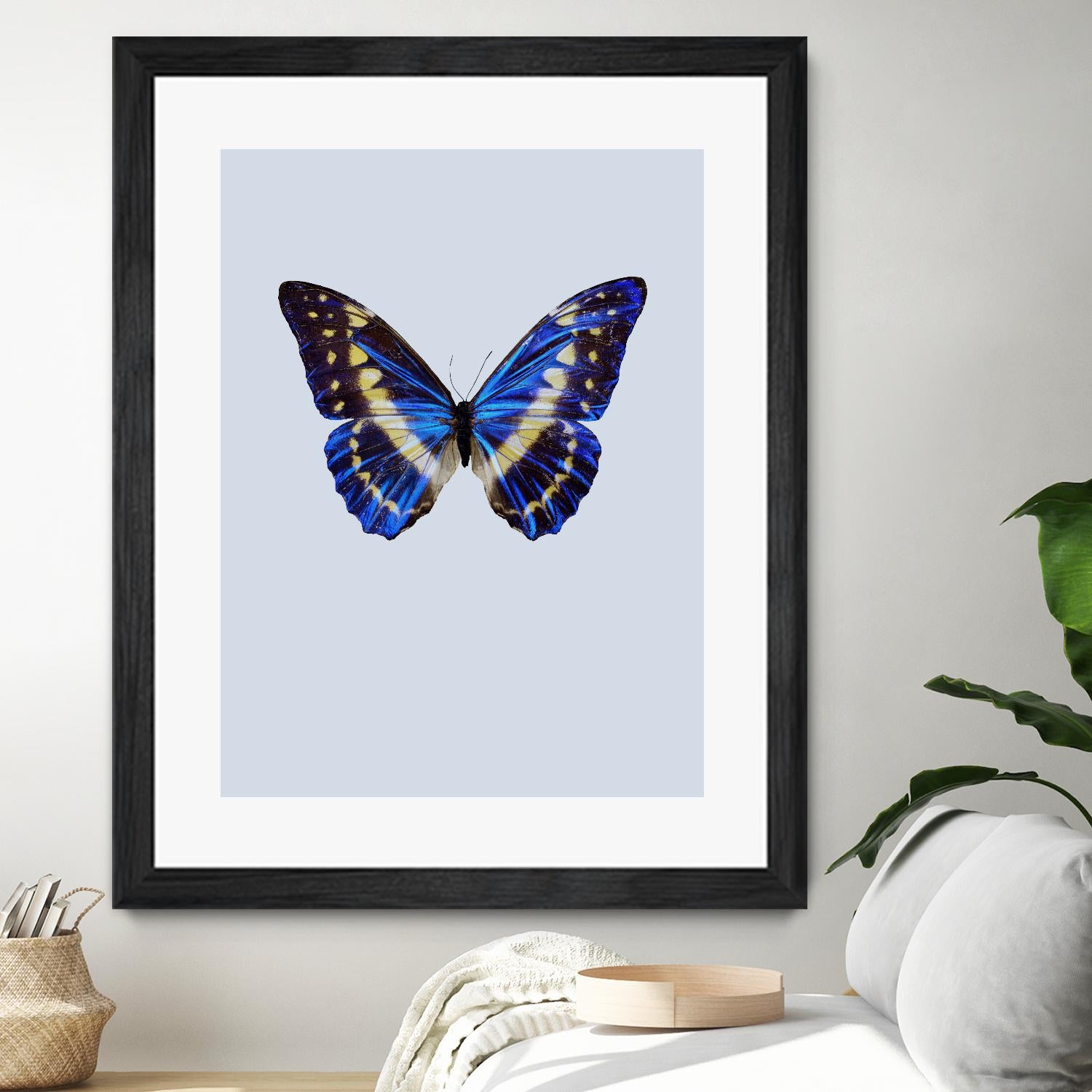 Blue Butterfly by Incado on GIANT ART - multicolor animals; floral/still life