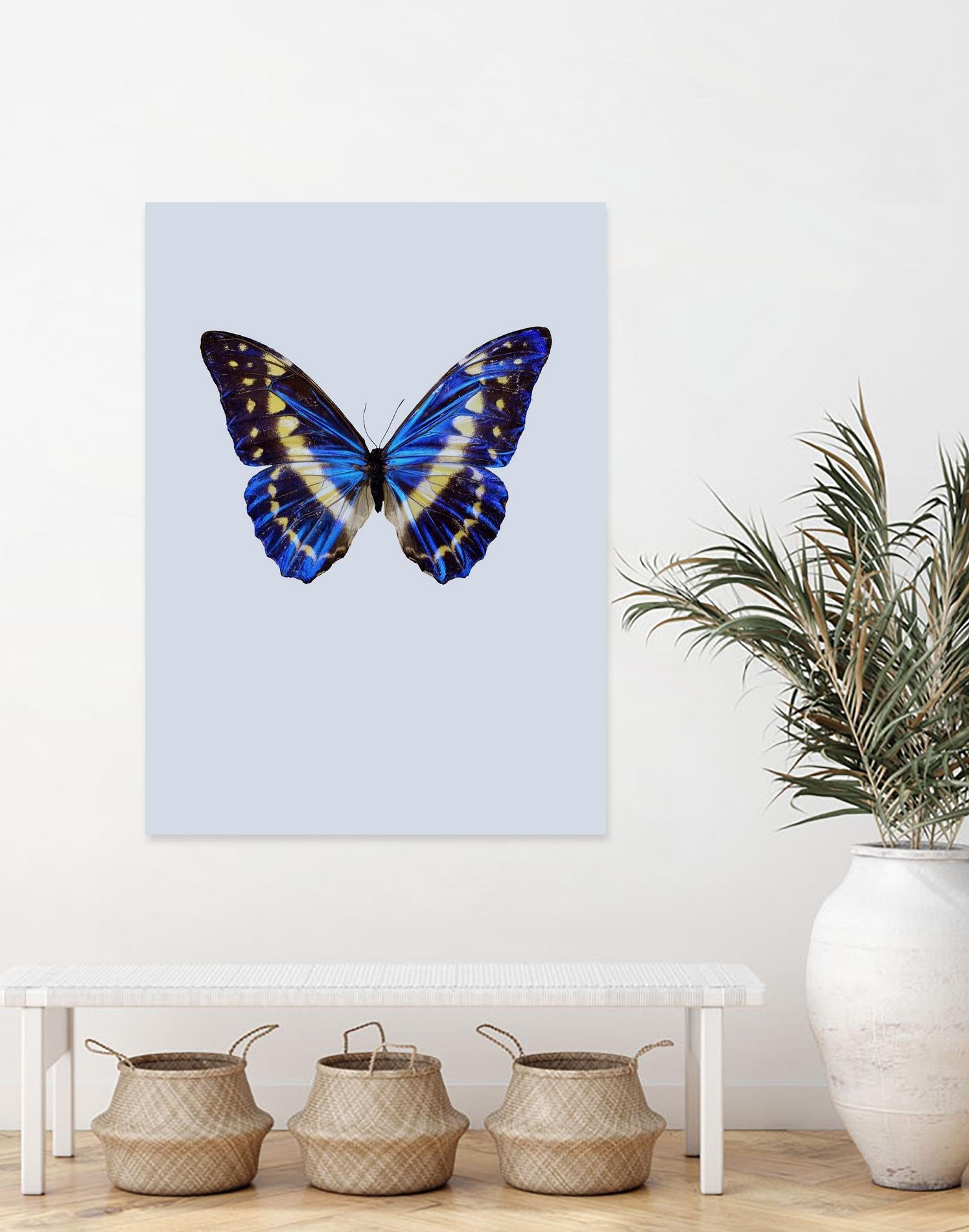 Blue Butterfly by Incado on GIANT ART - multicolor animals; floral/still life