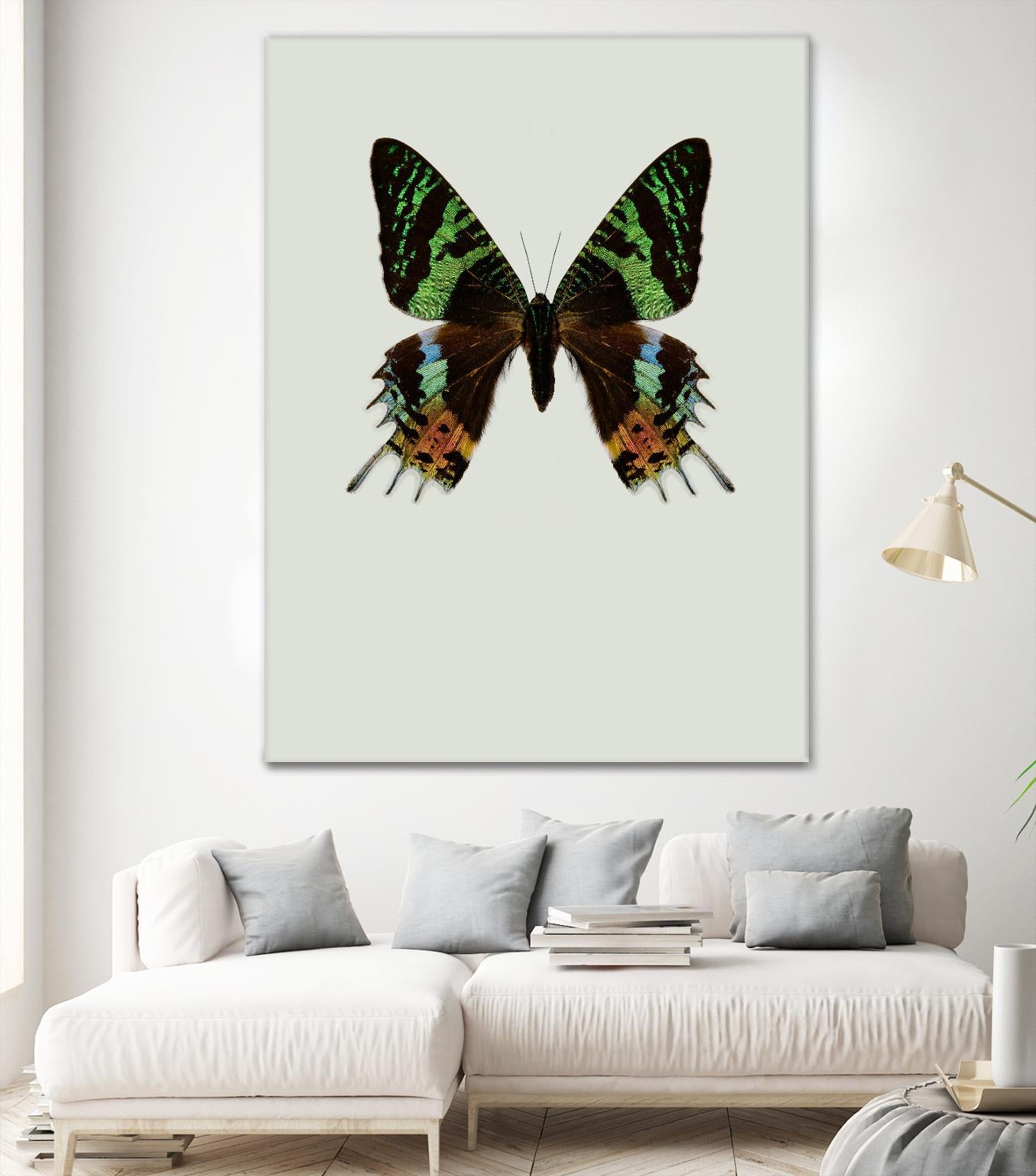 Chrysiridia rhipheus by Incado on GIANT ART - multicolor animals; floral/still life