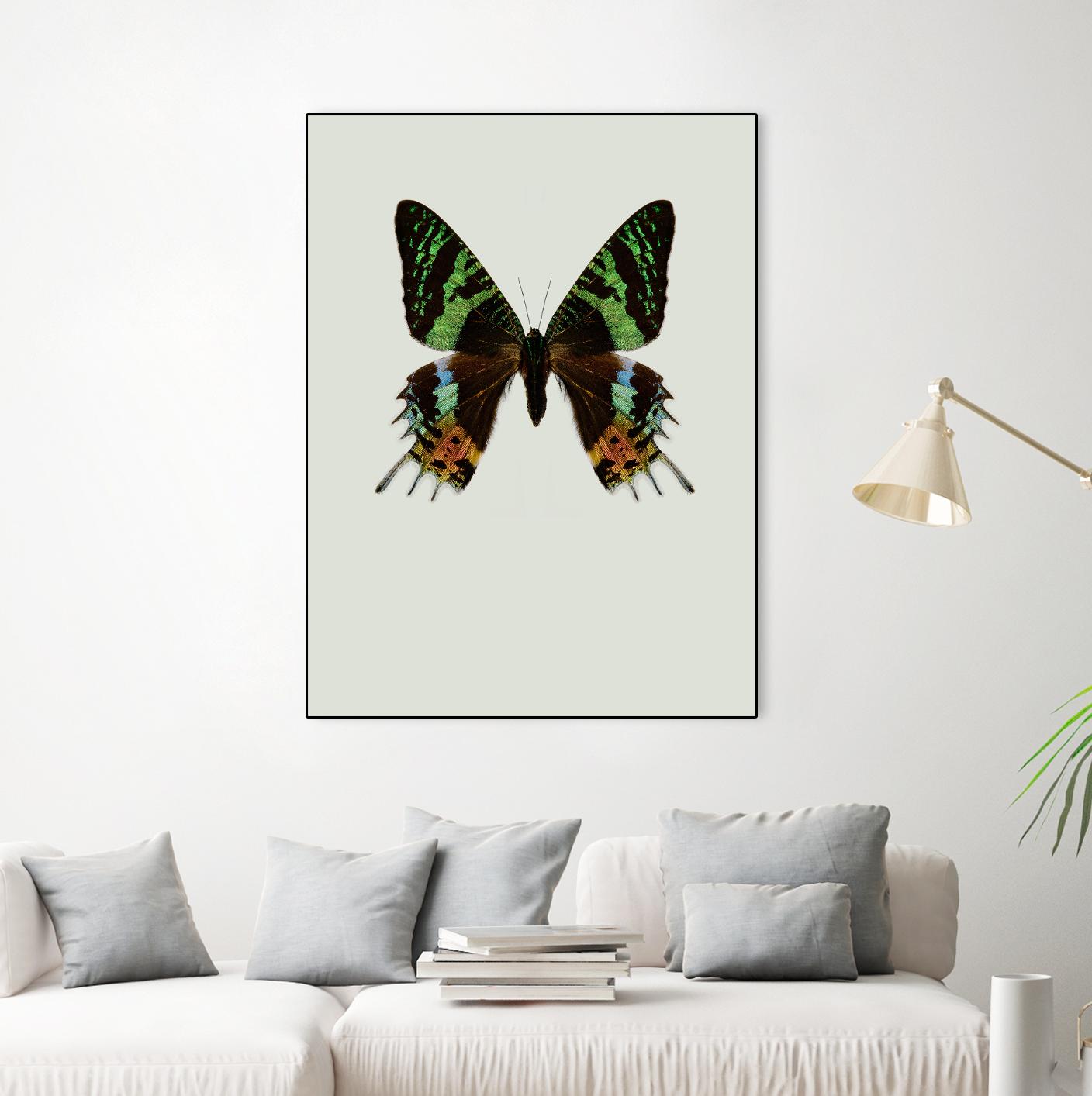 Chrysiridia rhipheus by Incado on GIANT ART - multicolor animals; floral/still life