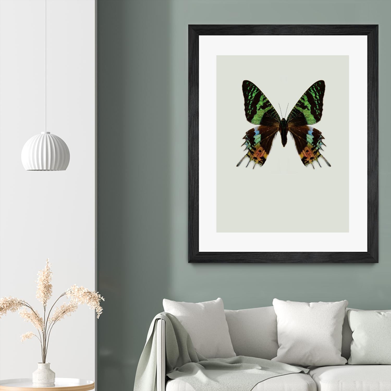 Chrysiridia rhipheus by Incado on GIANT ART - multicolor animals; floral/still life