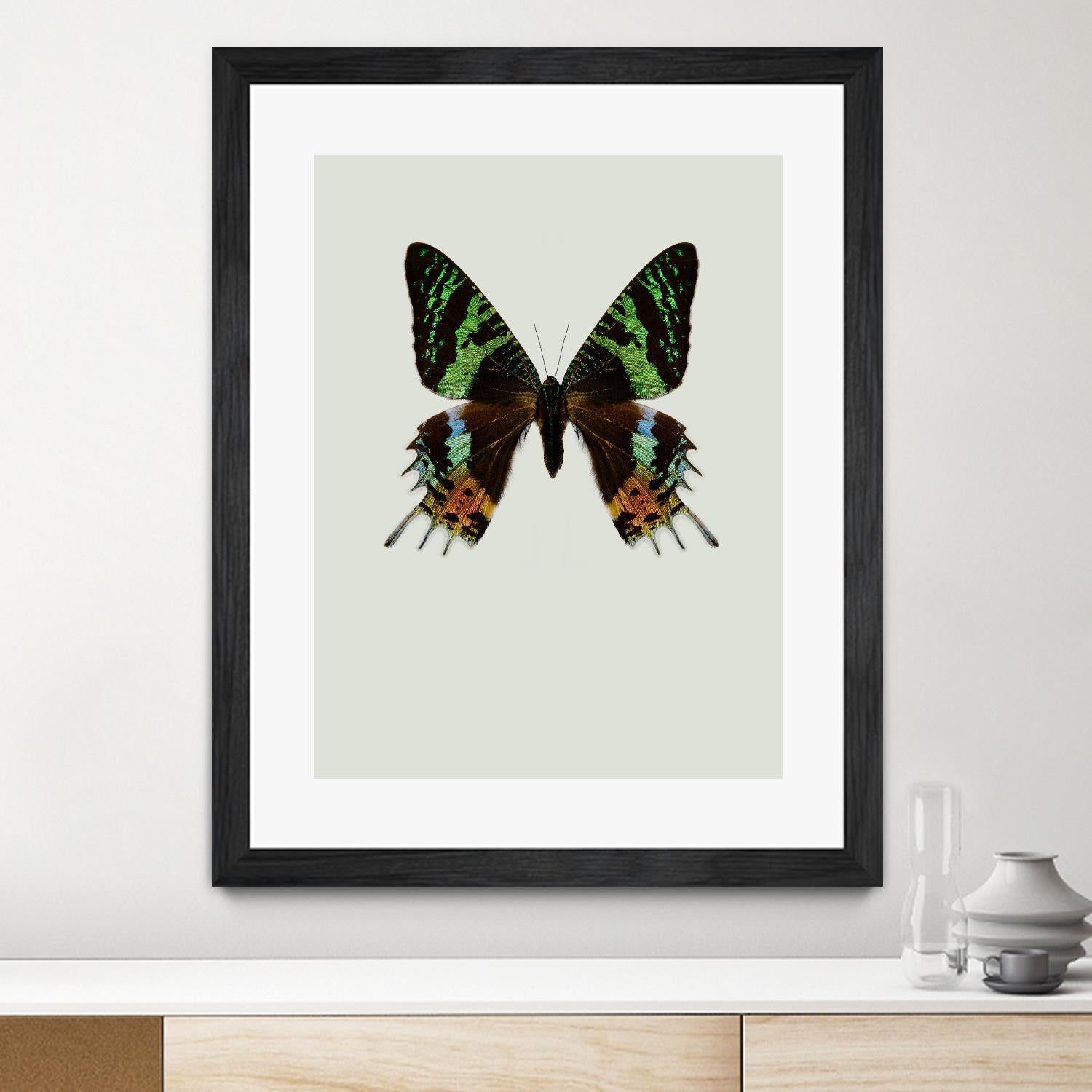 Chrysiridia rhipheus by Incado on GIANT ART - multicolor animals; floral/still life