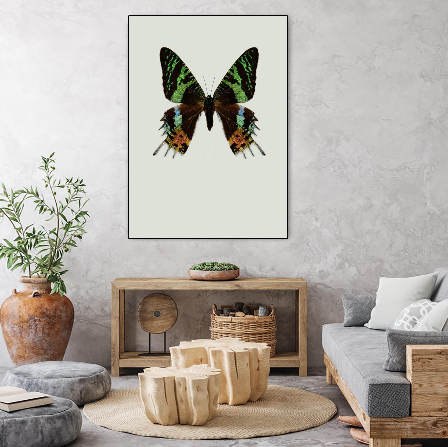 Chrysiridia rhipheus by Incado on GIANT ART - multicolor animals; floral/still life