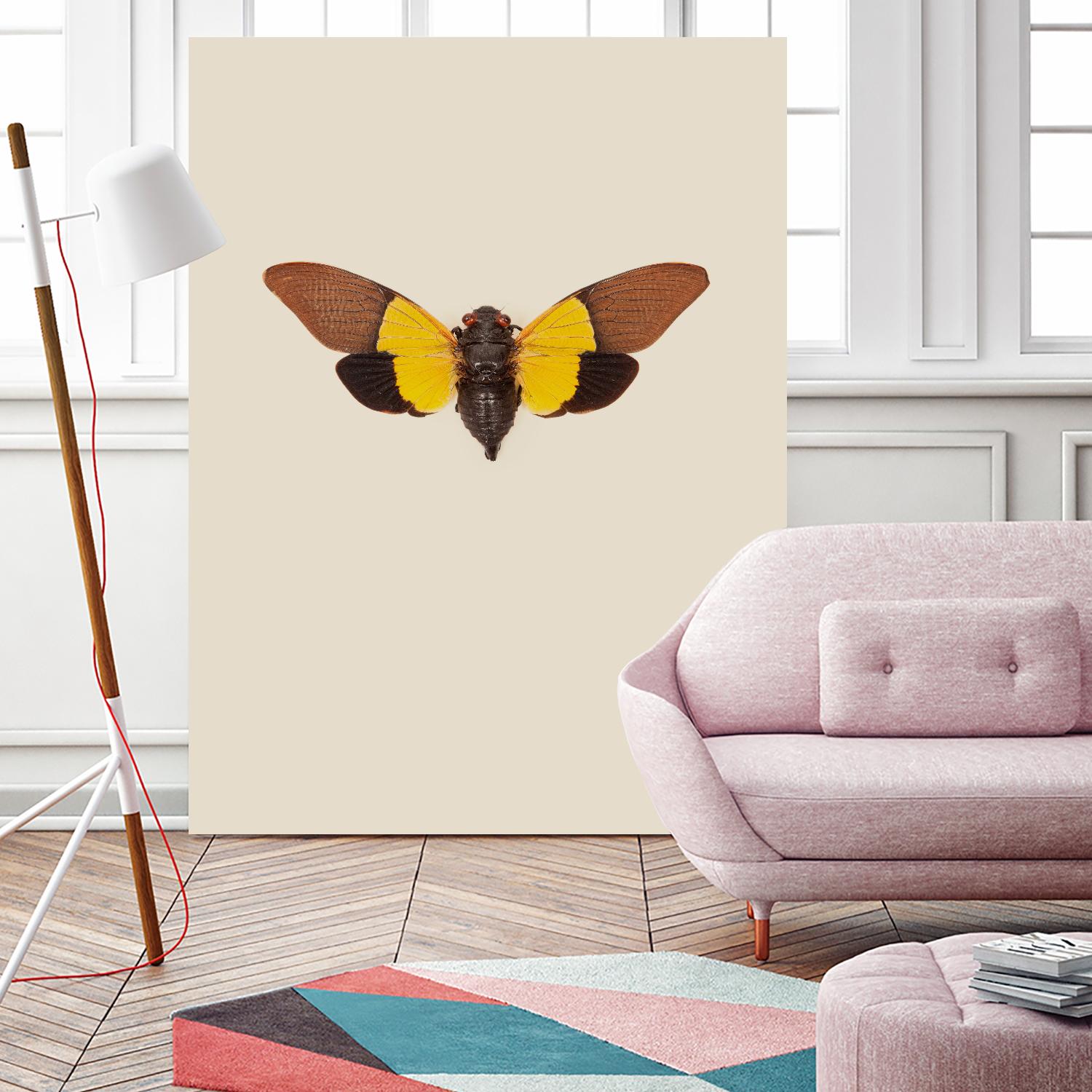 Cicada by Incado on GIANT ART - multicolor animals; floral/still life