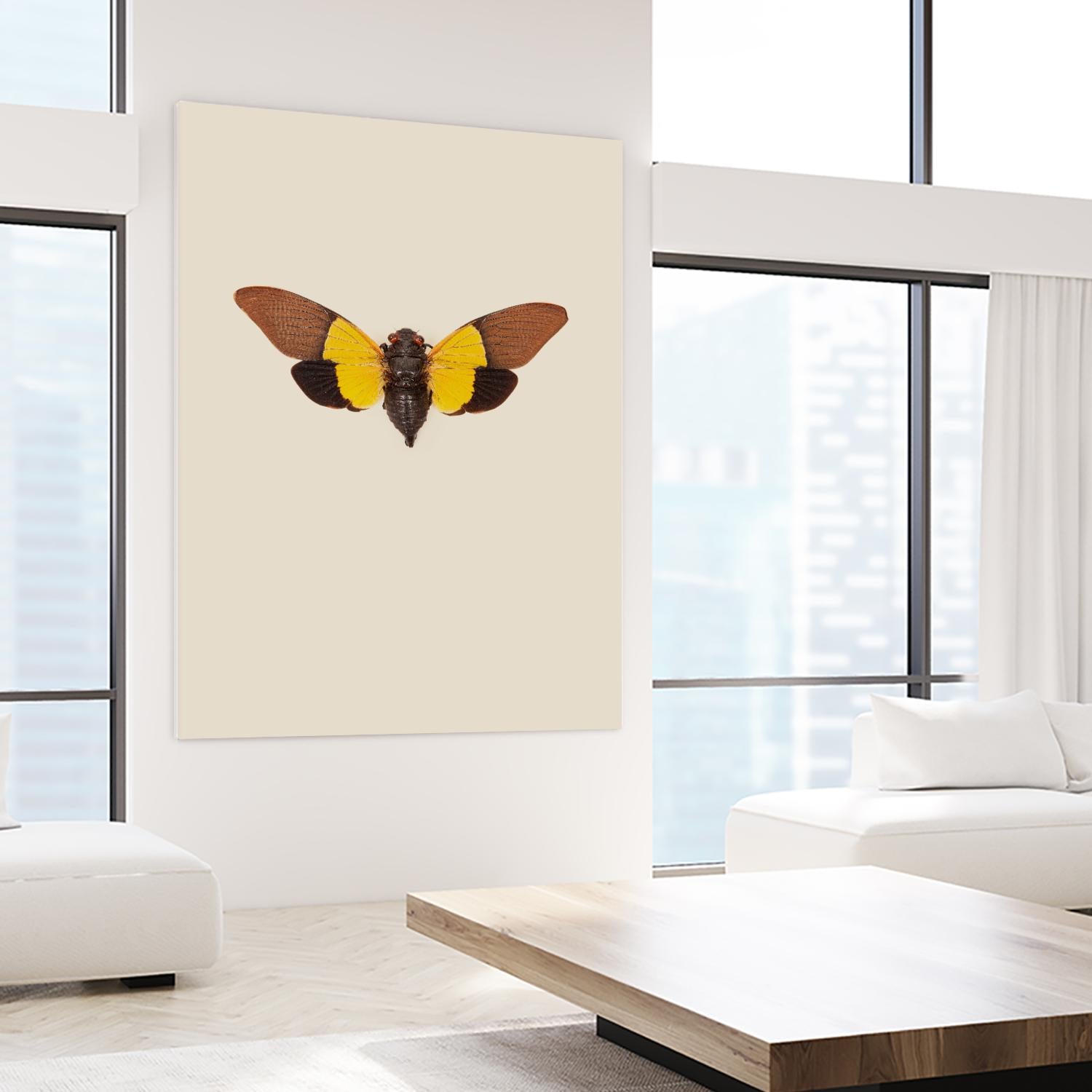 Cicada by Incado on GIANT ART - multicolor animals; floral/still life