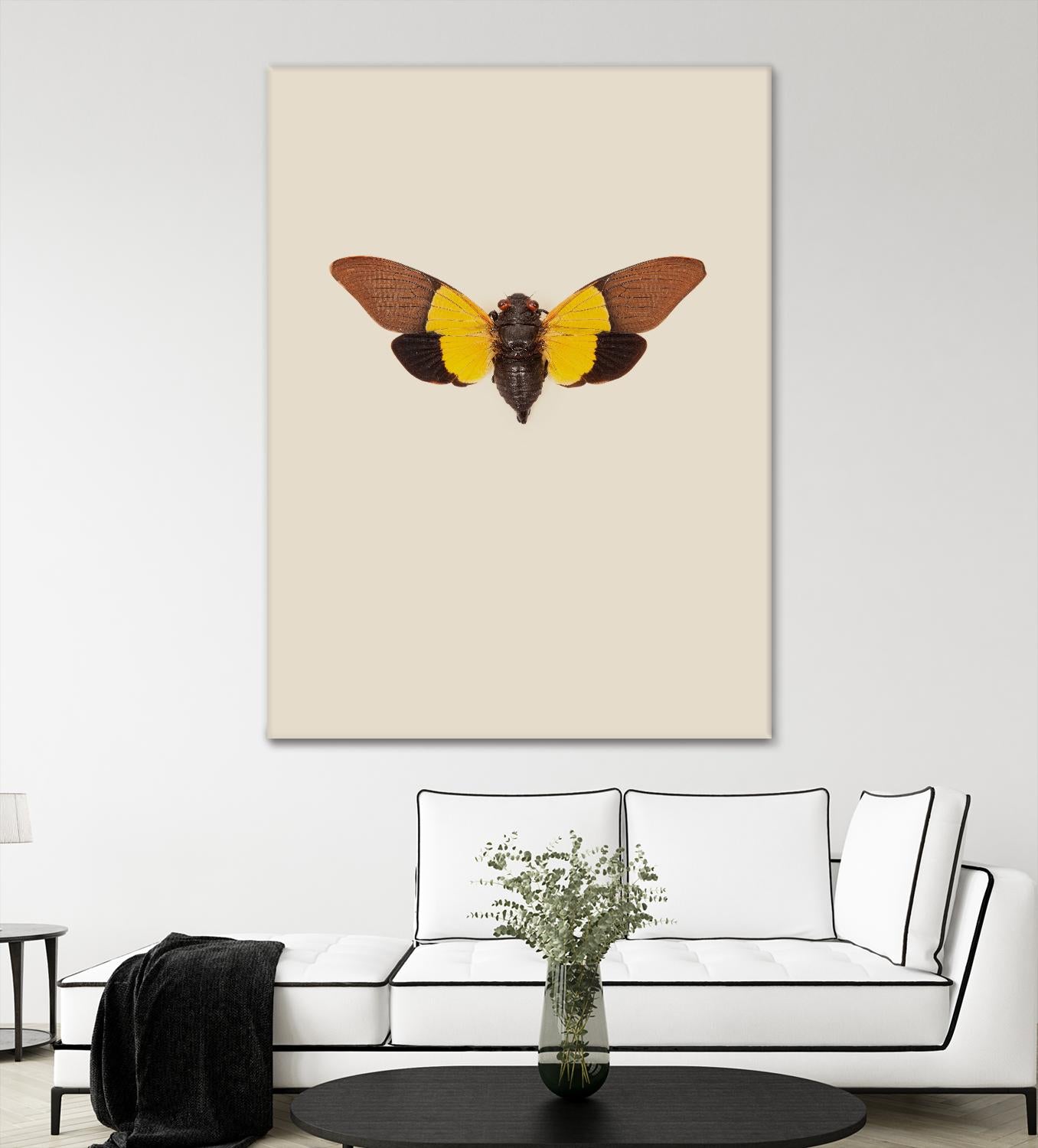 Cicada by Incado on GIANT ART - multicolor animals; floral/still life