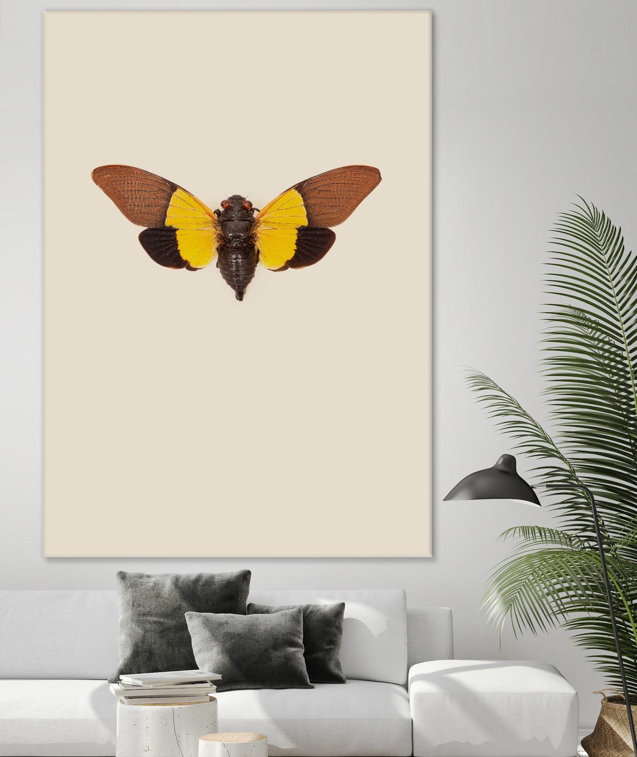 Cicada by Incado on GIANT ART - multicolor animals; floral/still life