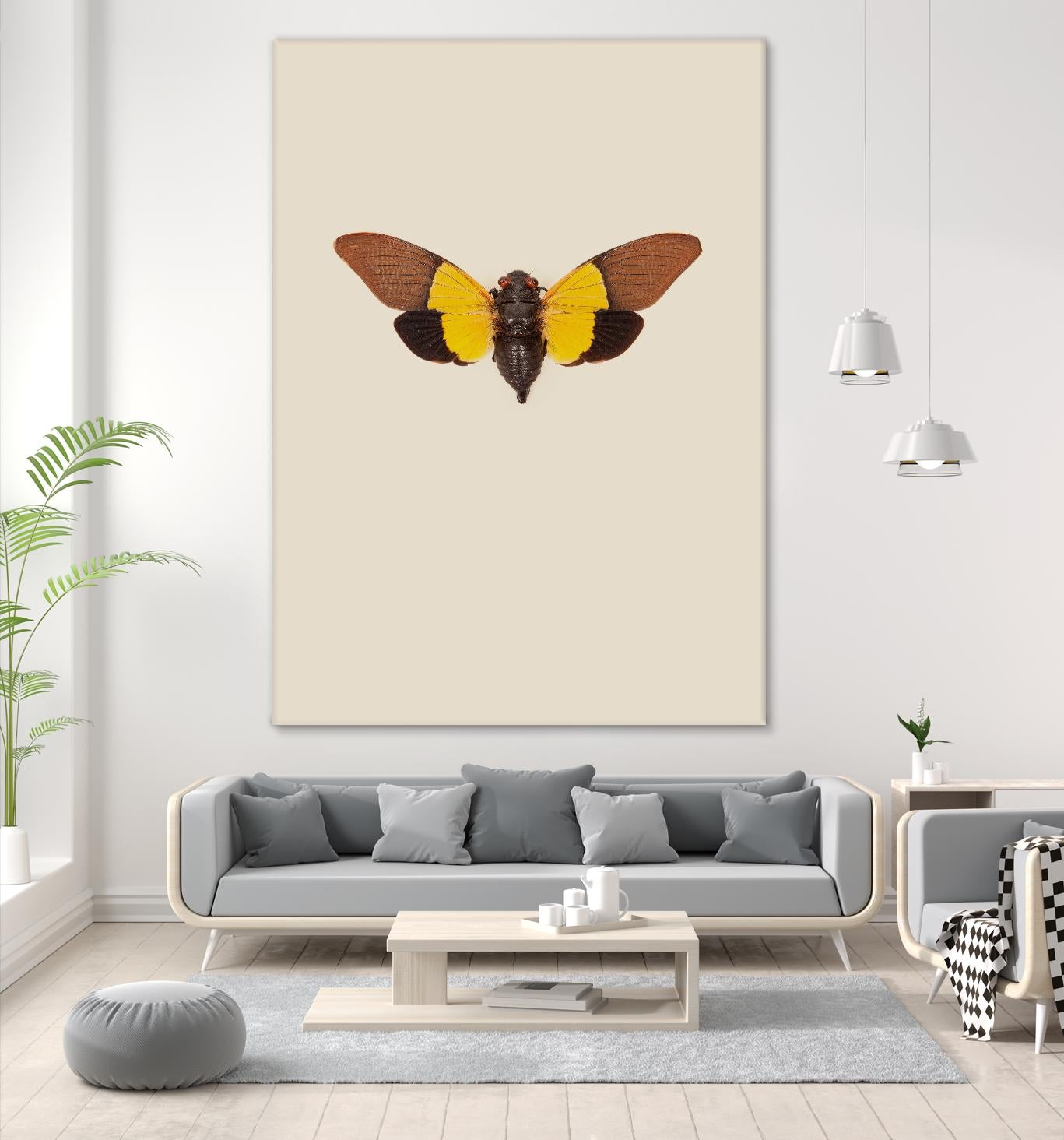 Cicada by Incado on GIANT ART - multicolor animals; floral/still life