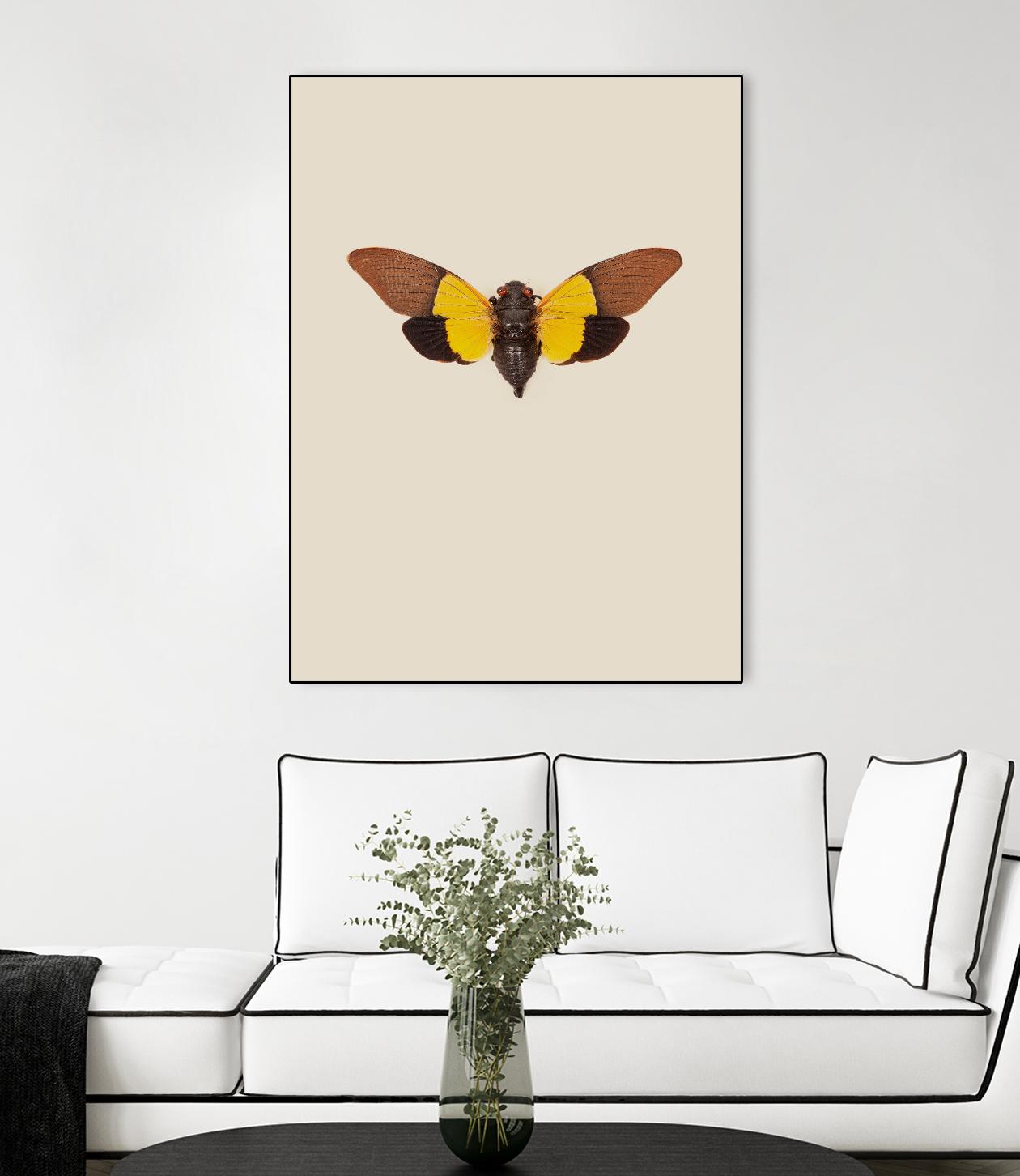Cicada by Incado on GIANT ART - multicolor animals; floral/still life