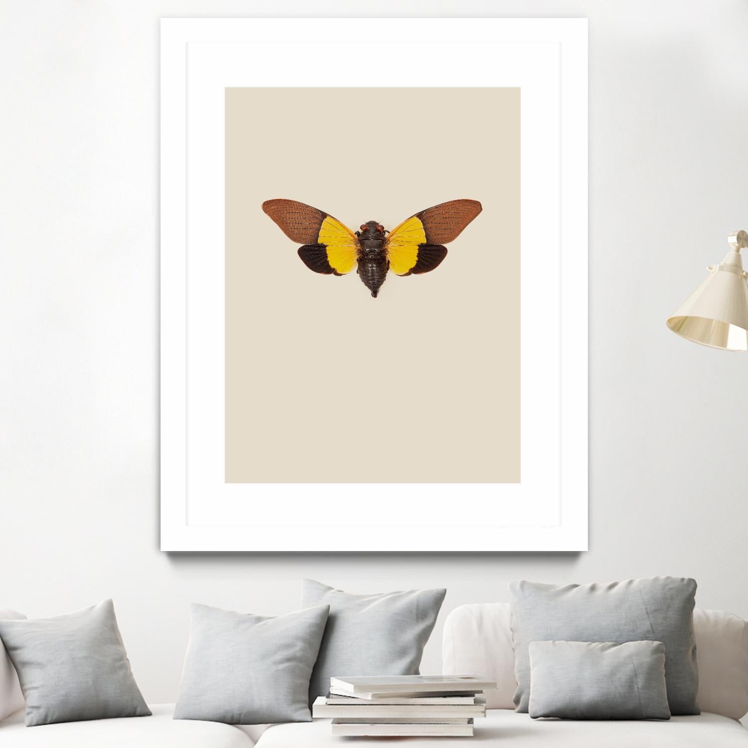 Cicada by Incado on GIANT ART - multicolor animals; floral/still life