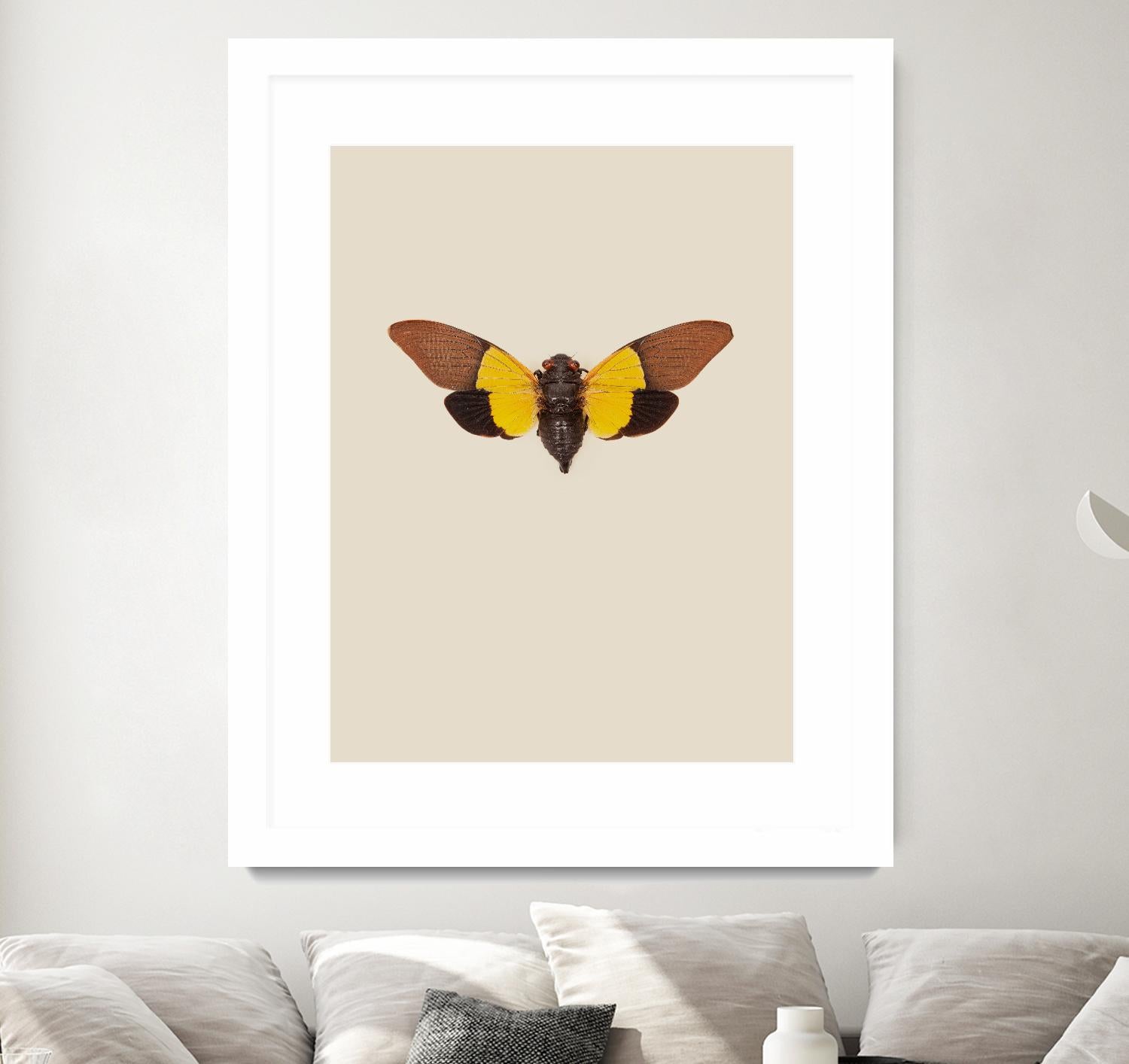 Cicada by Incado on GIANT ART - multicolor animals; floral/still life