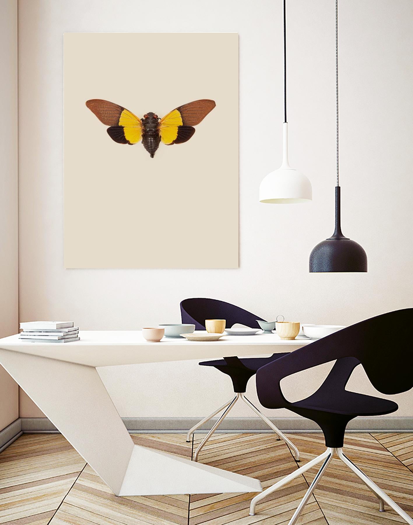 Cicada by Incado on GIANT ART - multicolor animals; floral/still life