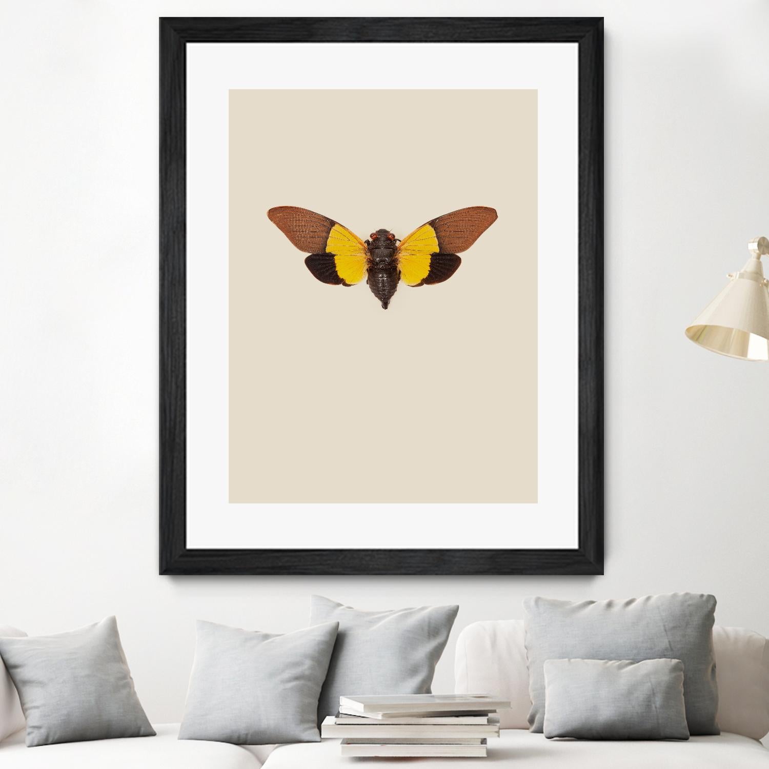 Cicada by Incado on GIANT ART - multicolor animals; floral/still life