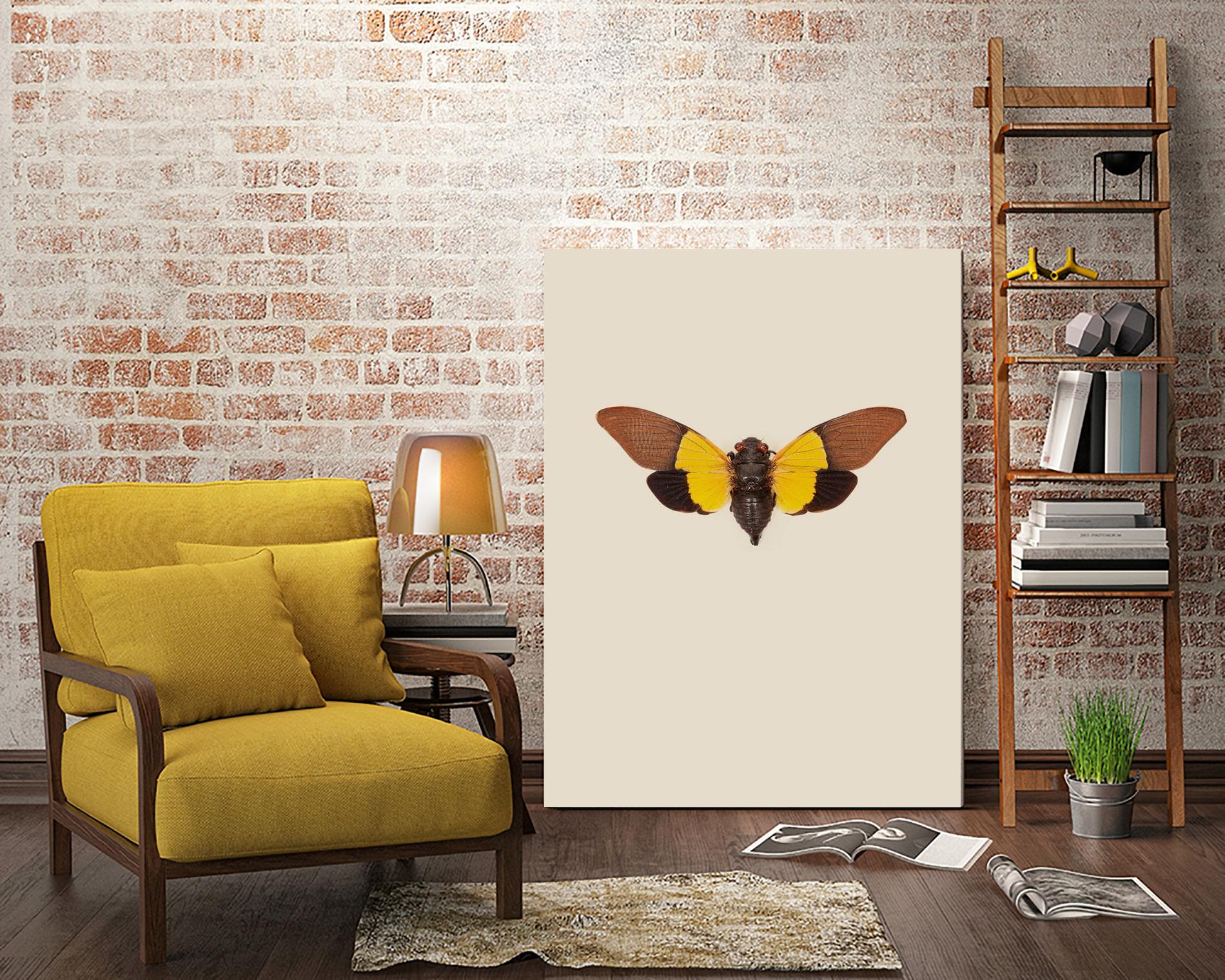 Cicada by Incado on GIANT ART - multicolor animals; floral/still life