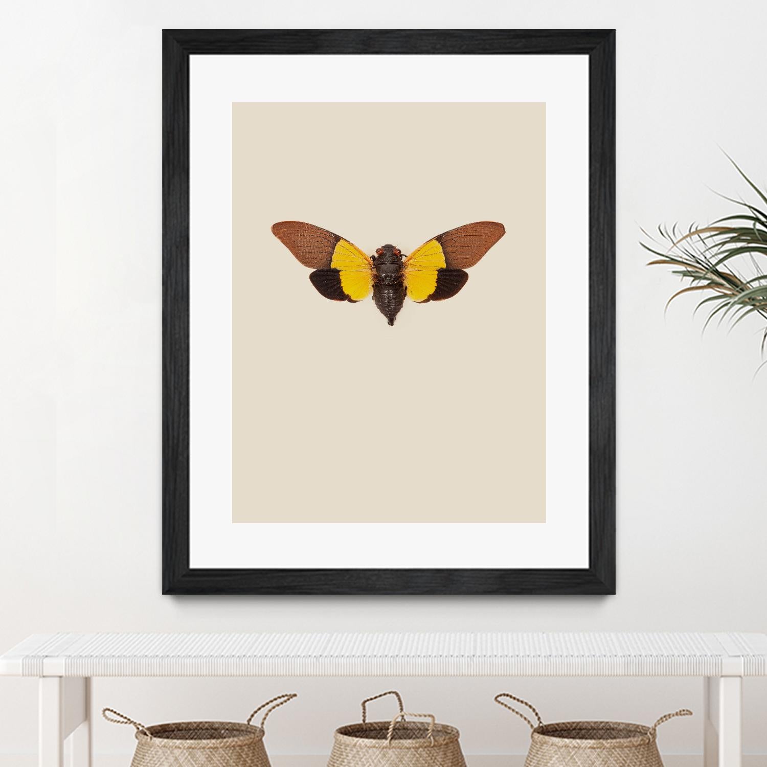 Cicada by Incado on GIANT ART - multicolor animals; floral/still life