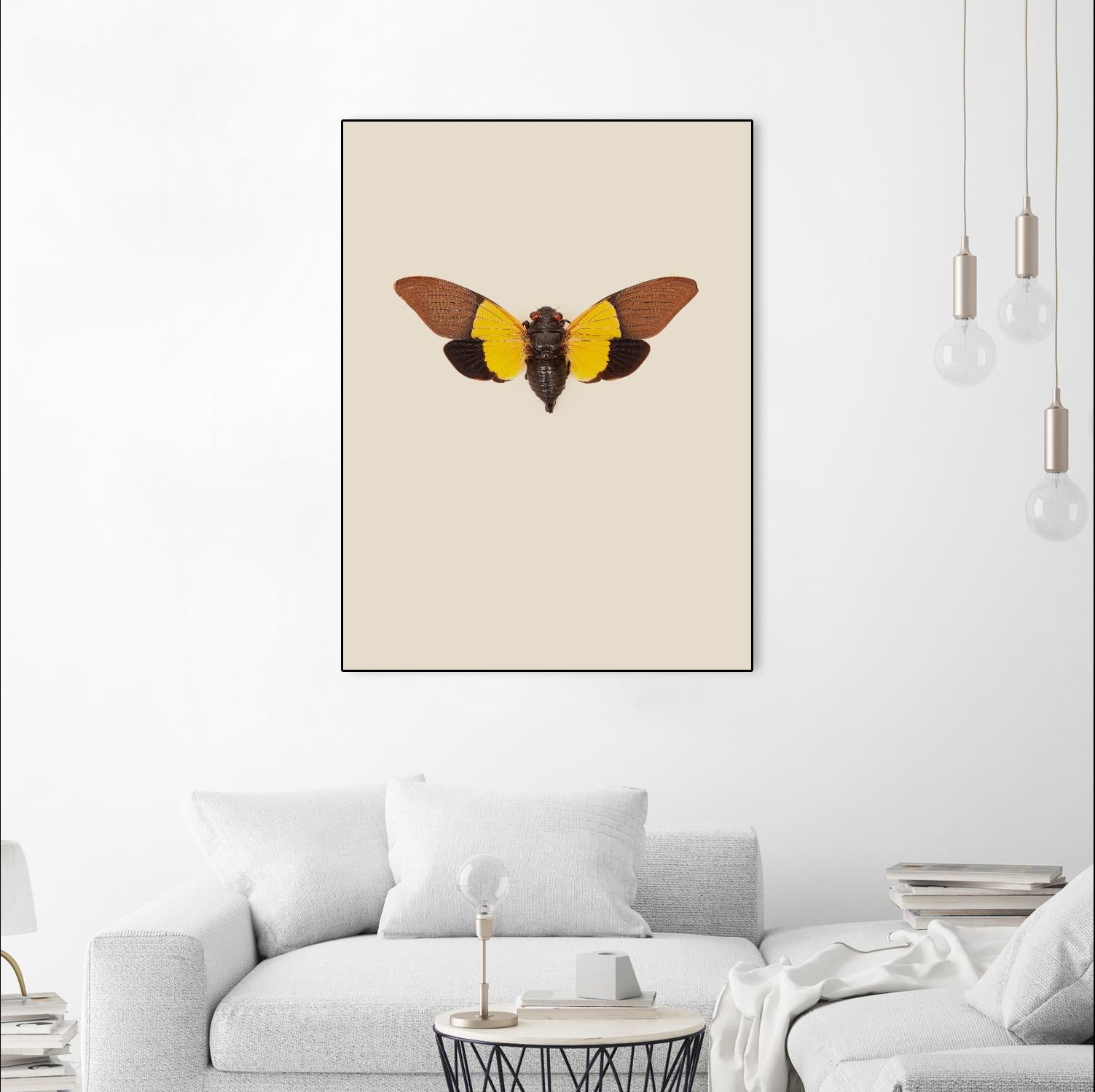 Cicada by Incado on GIANT ART - multicolor animals; floral/still life