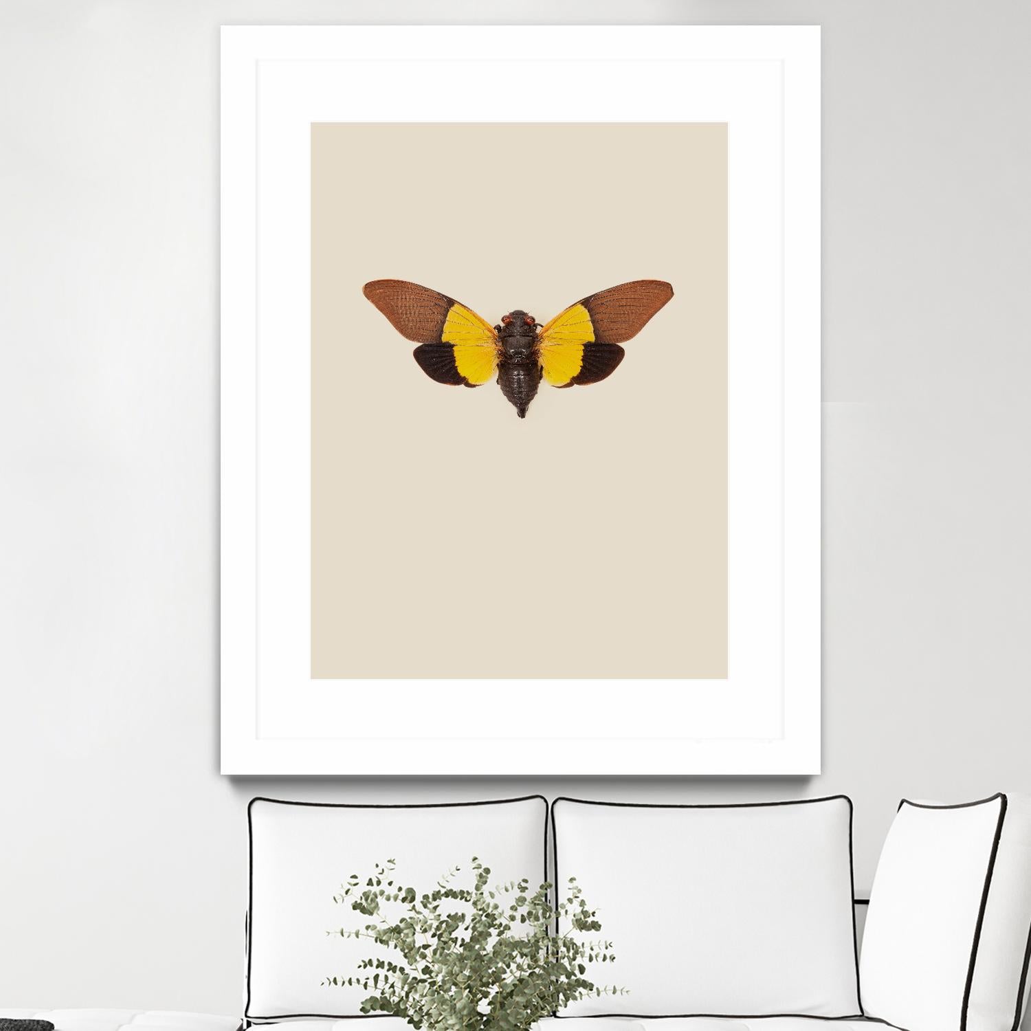 Cicada by Incado on GIANT ART - multicolor animals; floral/still life