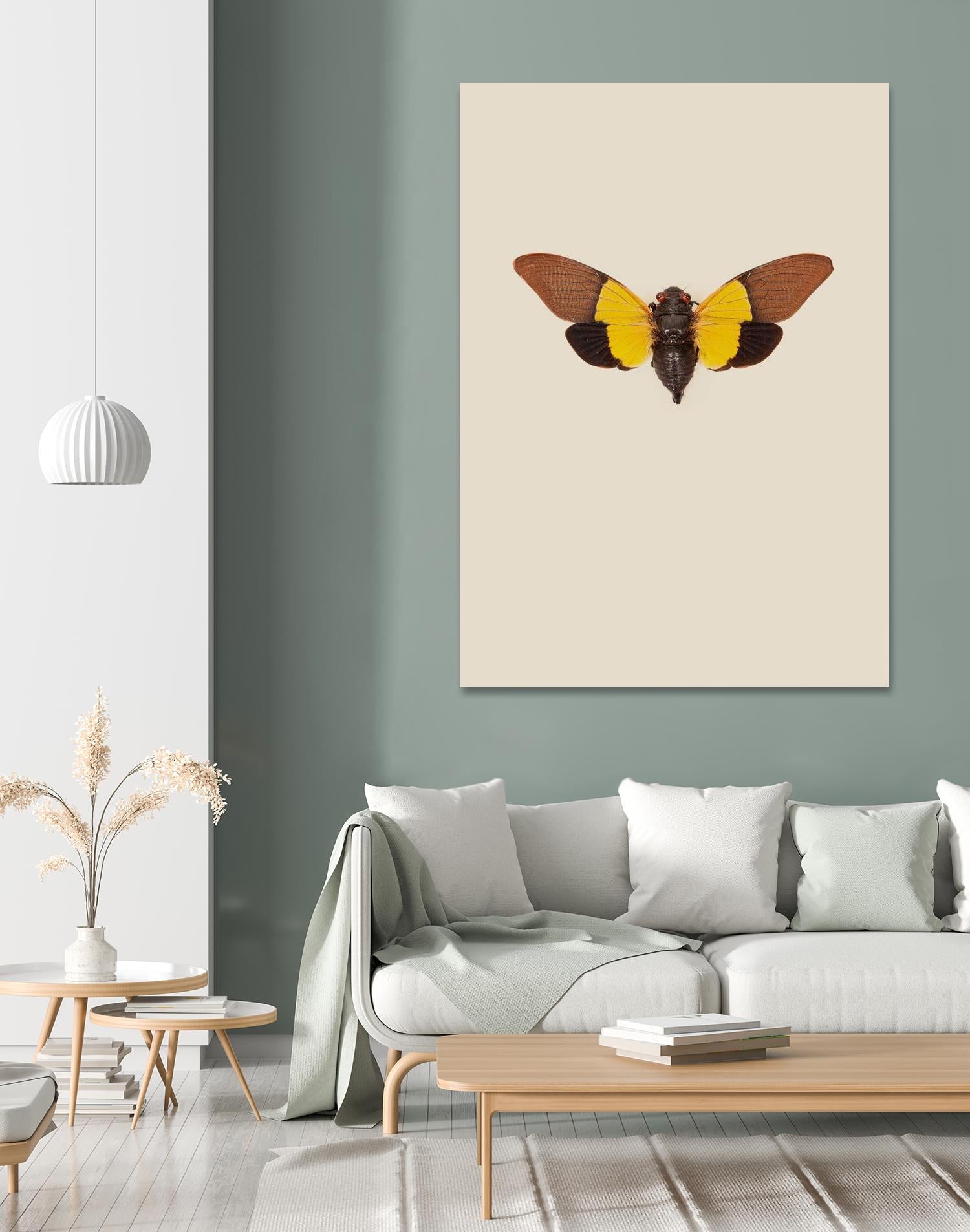 Cicada by Incado on GIANT ART - multicolor animals; floral/still life