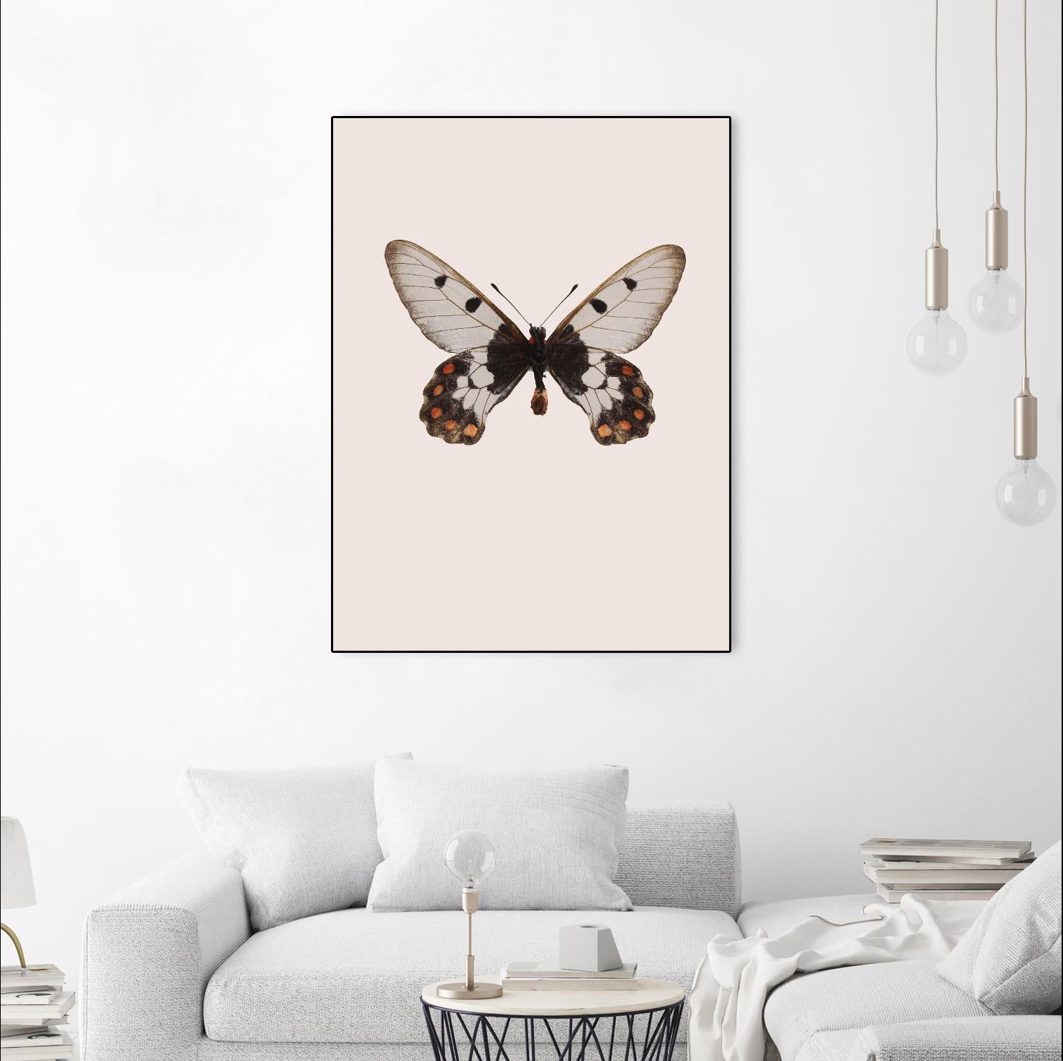 Cressida cressida by Incado on GIANT ART - multicolor animals; floral/still life