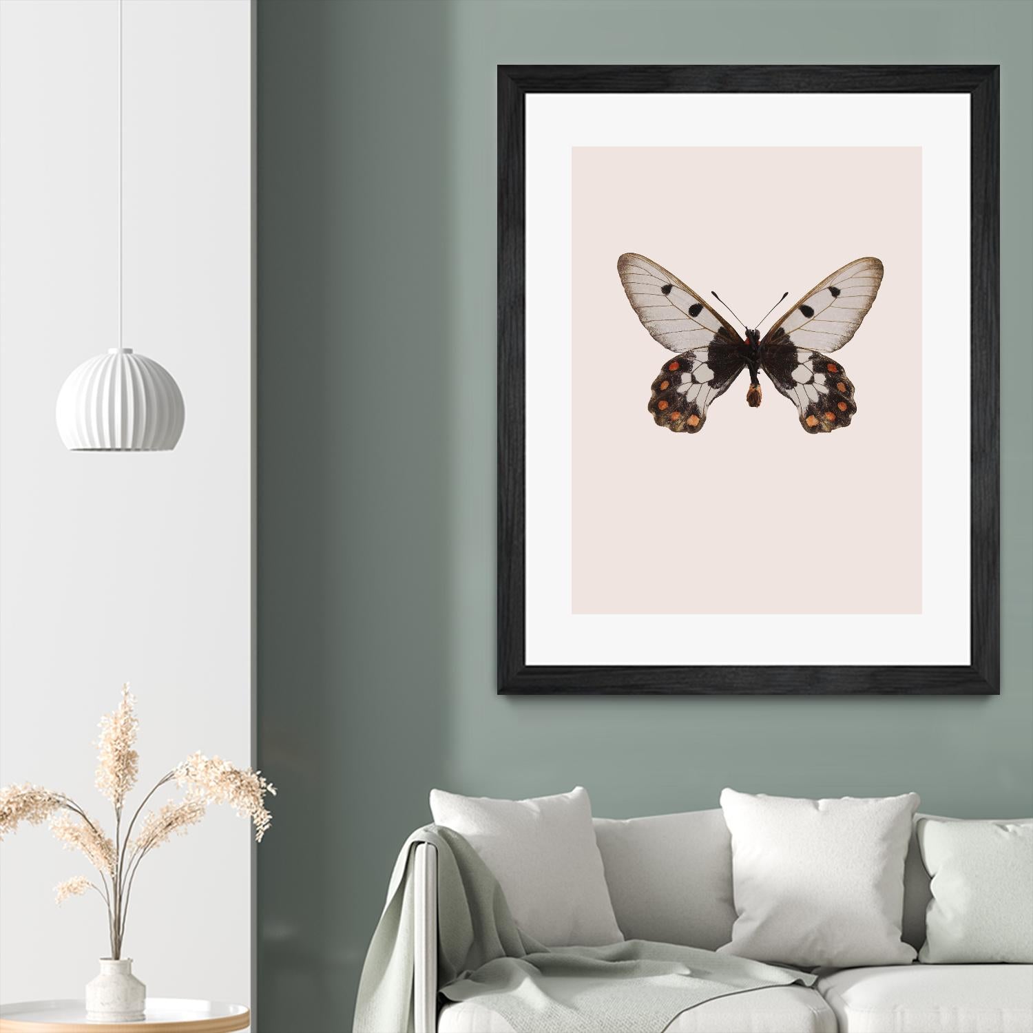 Cressida cressida by Incado on GIANT ART - multicolor animals; floral/still life