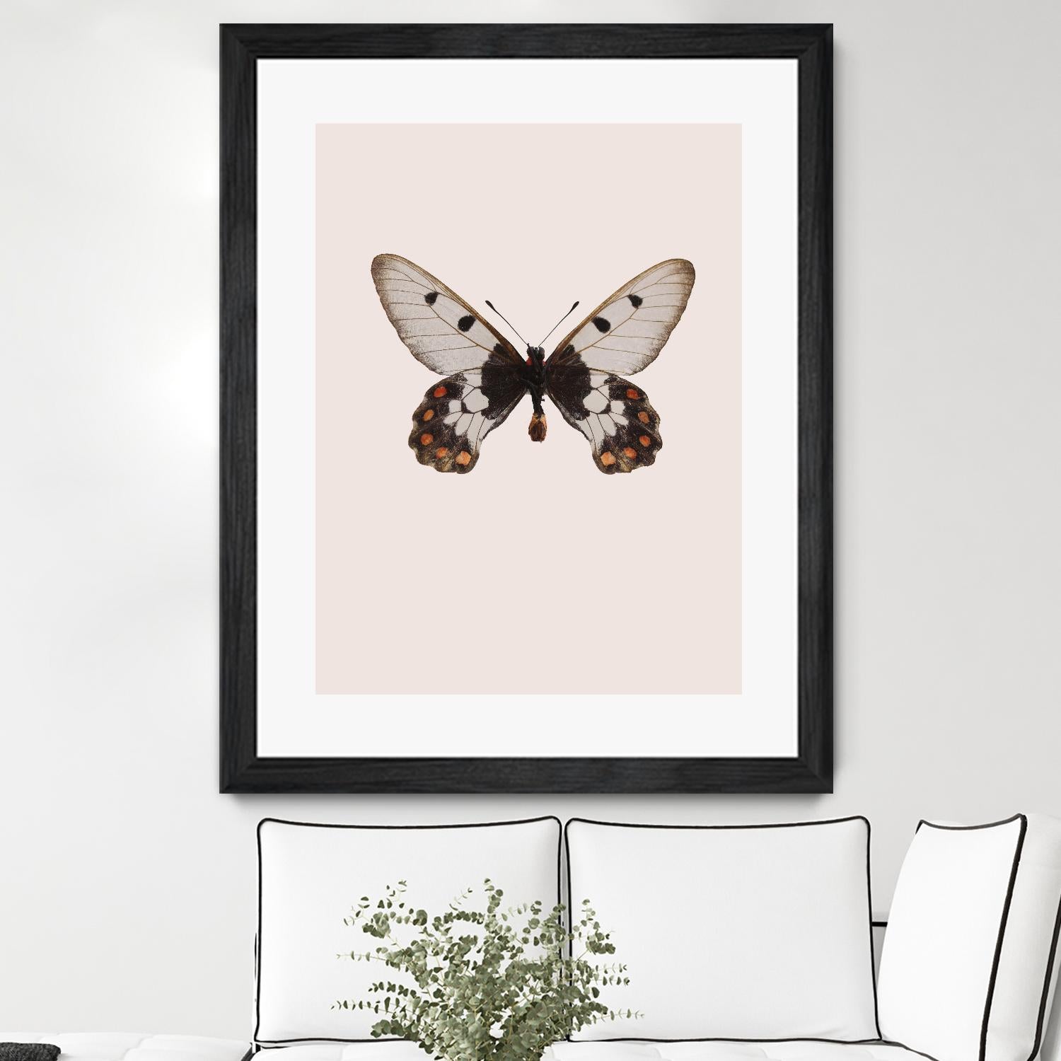 Cressida cressida by Incado on GIANT ART - multicolor animals; floral/still life