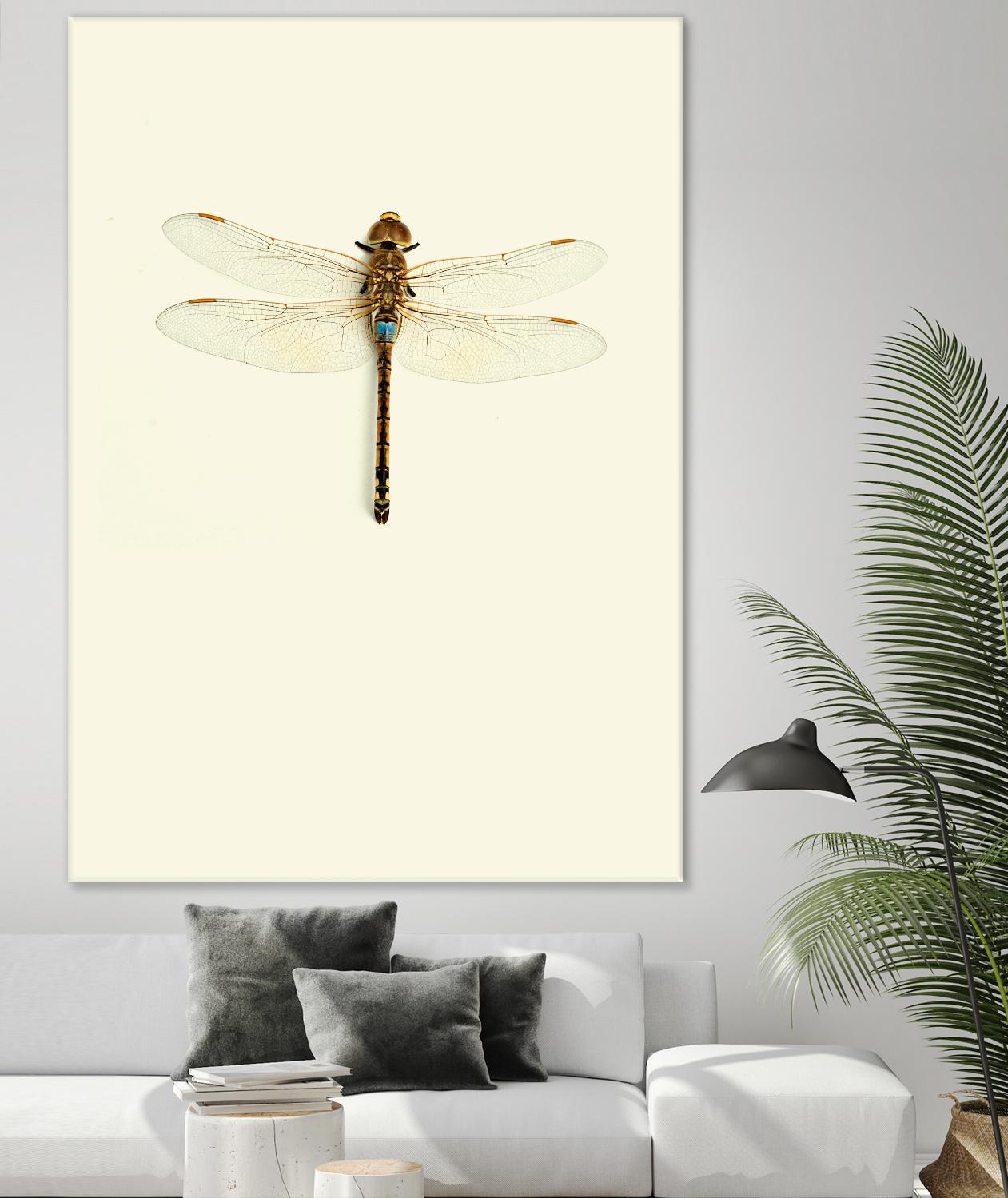 Dragonfly I by Incado on GIANT ART - multicolor animals; floral/still life