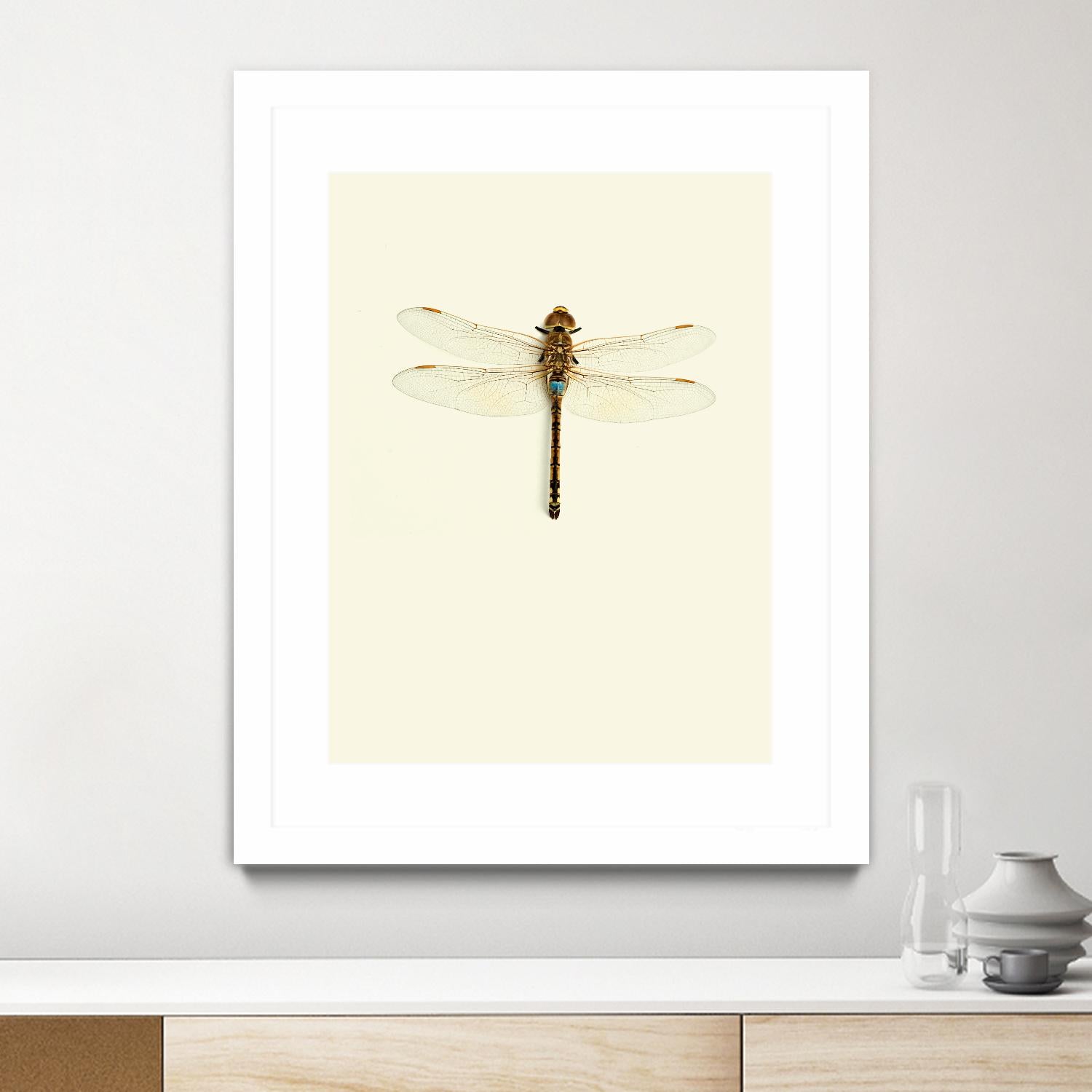 Dragonfly I by Incado on GIANT ART - multicolor animals; floral/still life